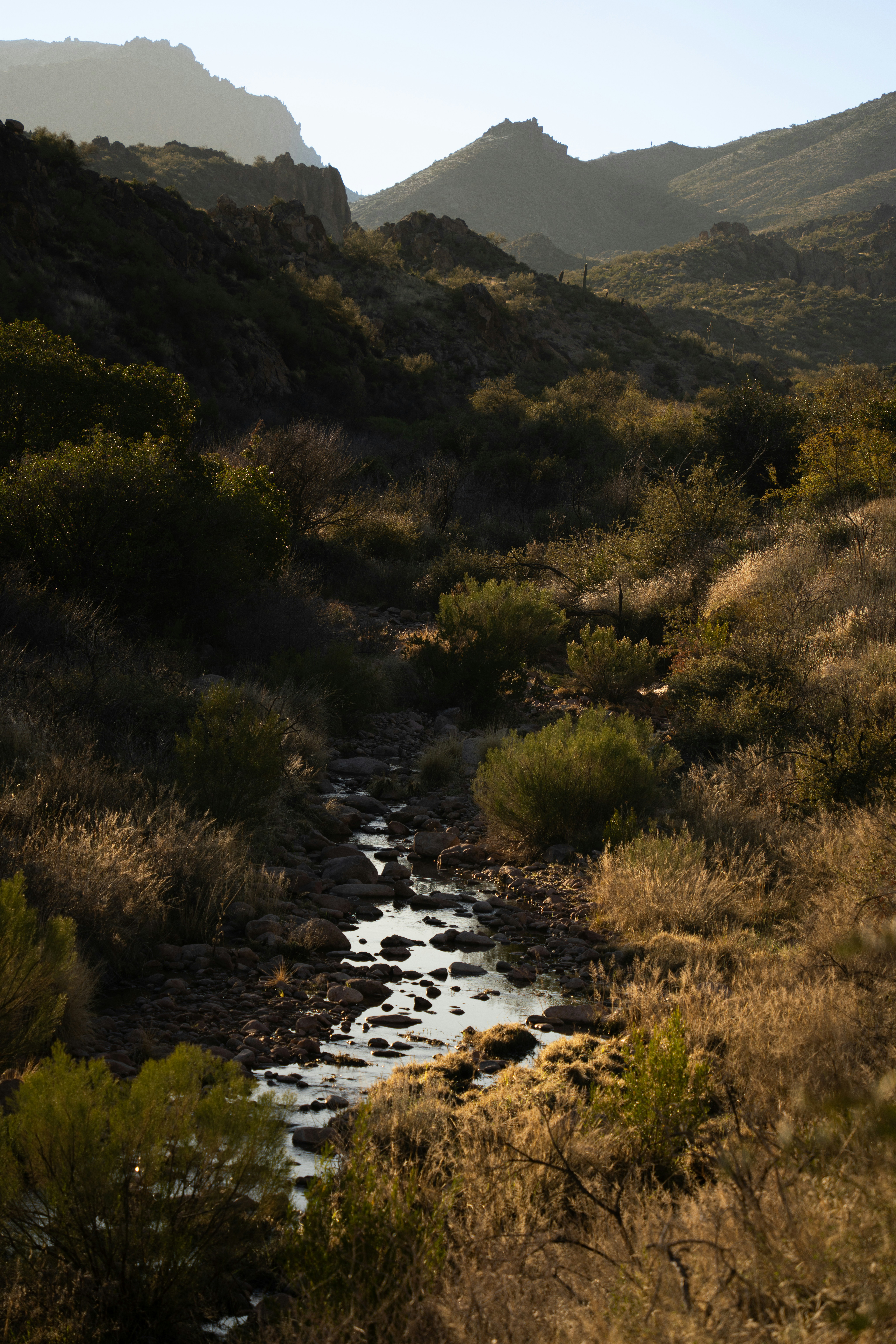 Photo by alexmoliski