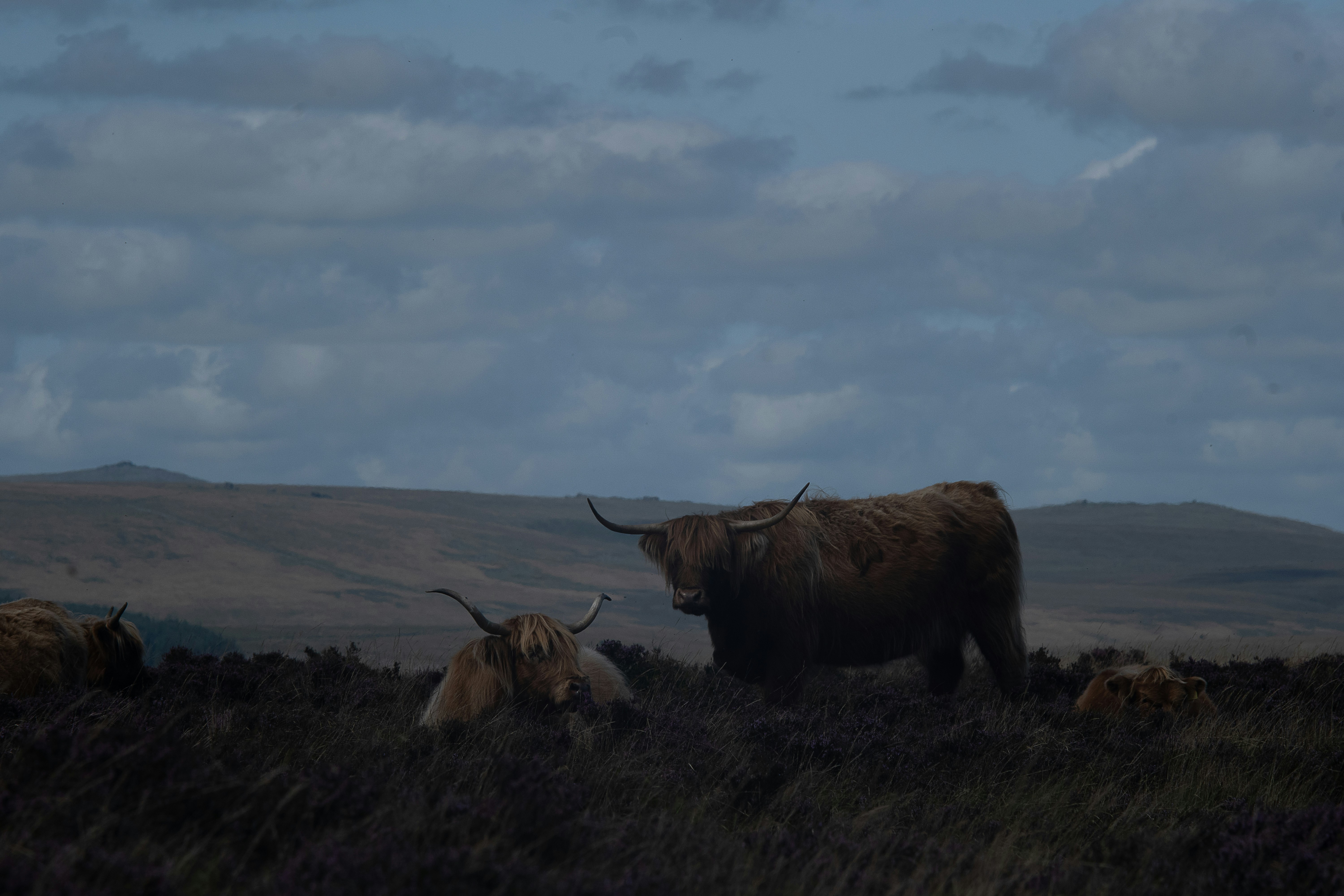 Dudley's Sports Grill