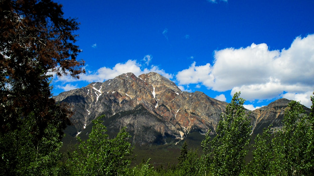 a view of a mountain range from a wooded area