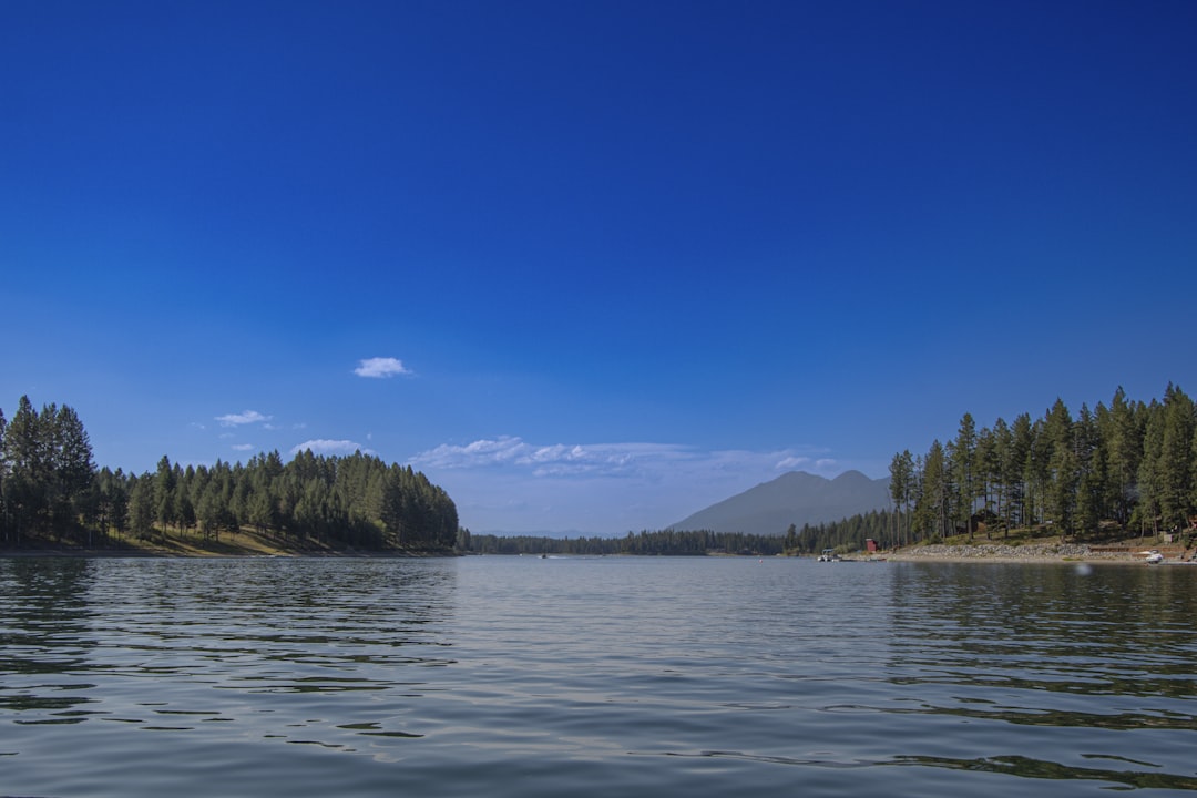 a body of water surrounded by trees on a sunny day,