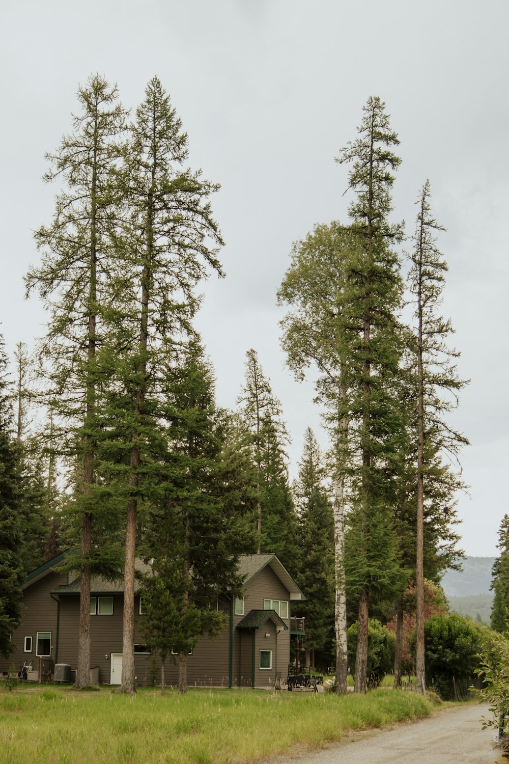 a dirt road in front of a house surrounded by trees