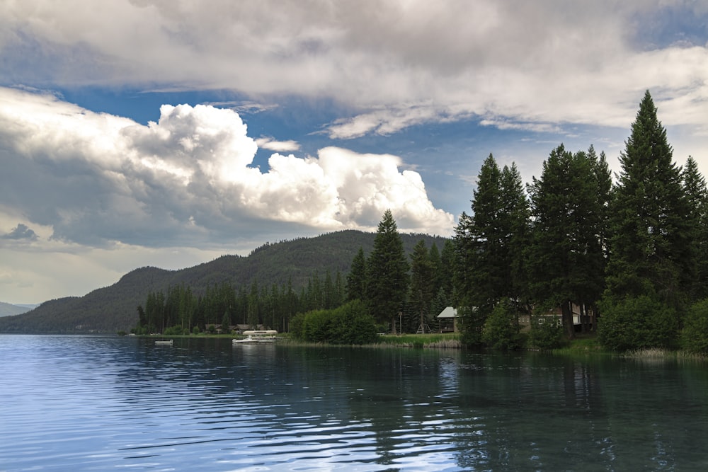 a body of water surrounded by trees and clouds