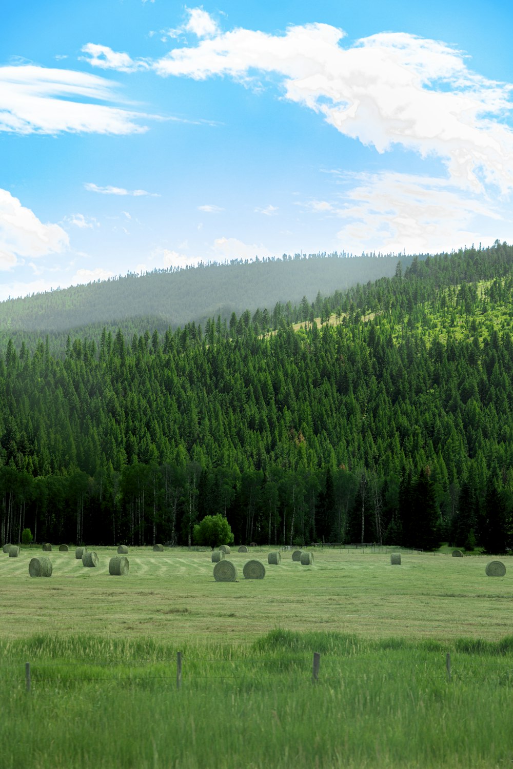 a grassy field with bales of hay in the foreground