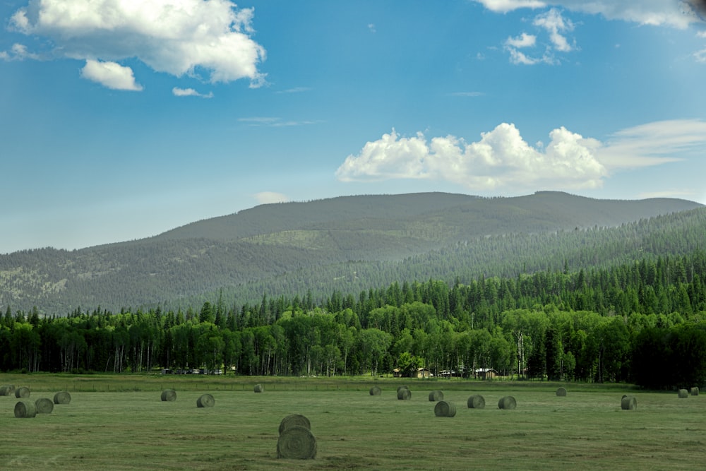 a field with bales of hay in the foreground and a mountain in the