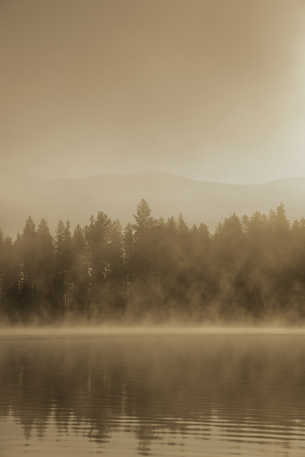 a foggy lake with trees in the background