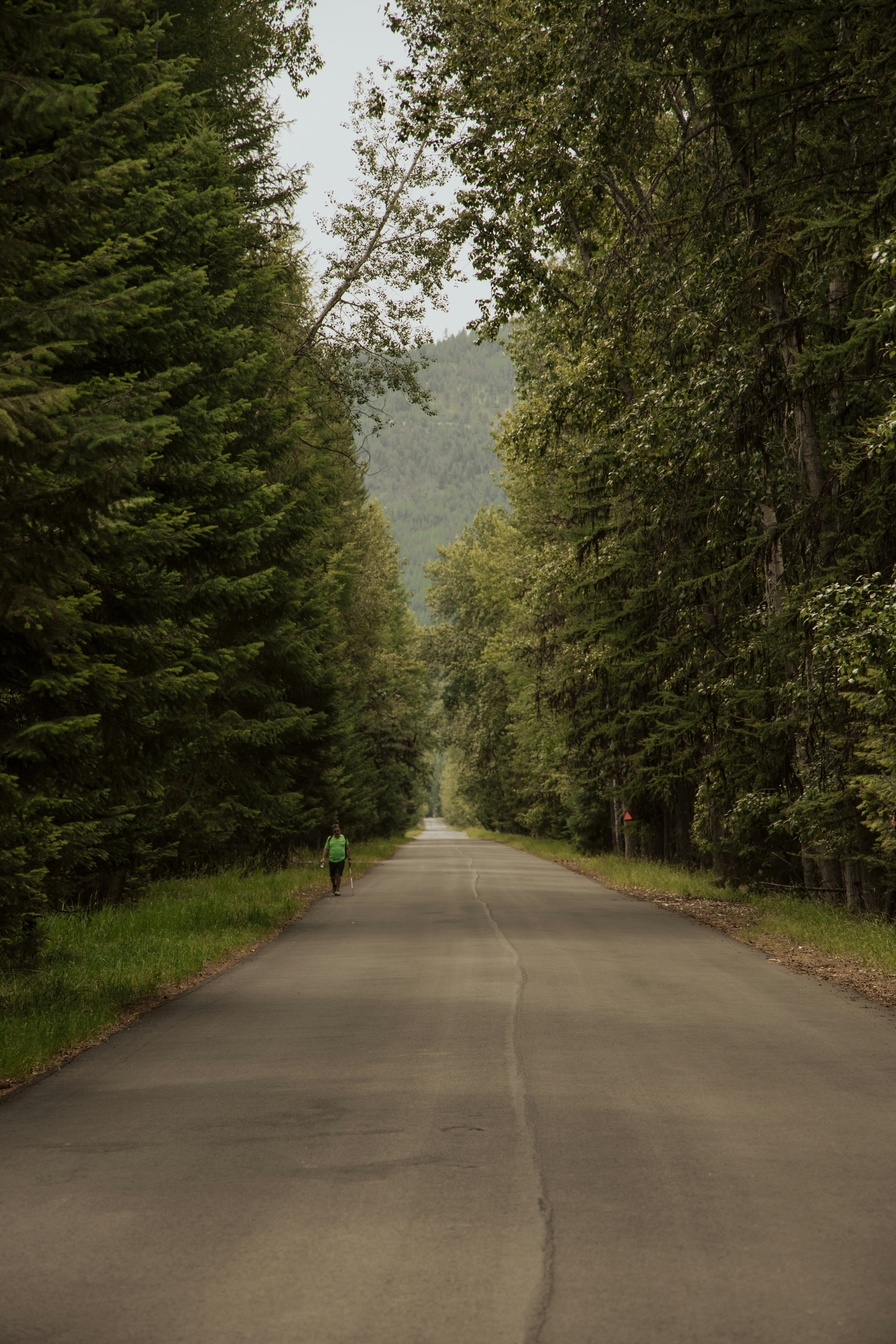 Photo by lilyycamillephoto