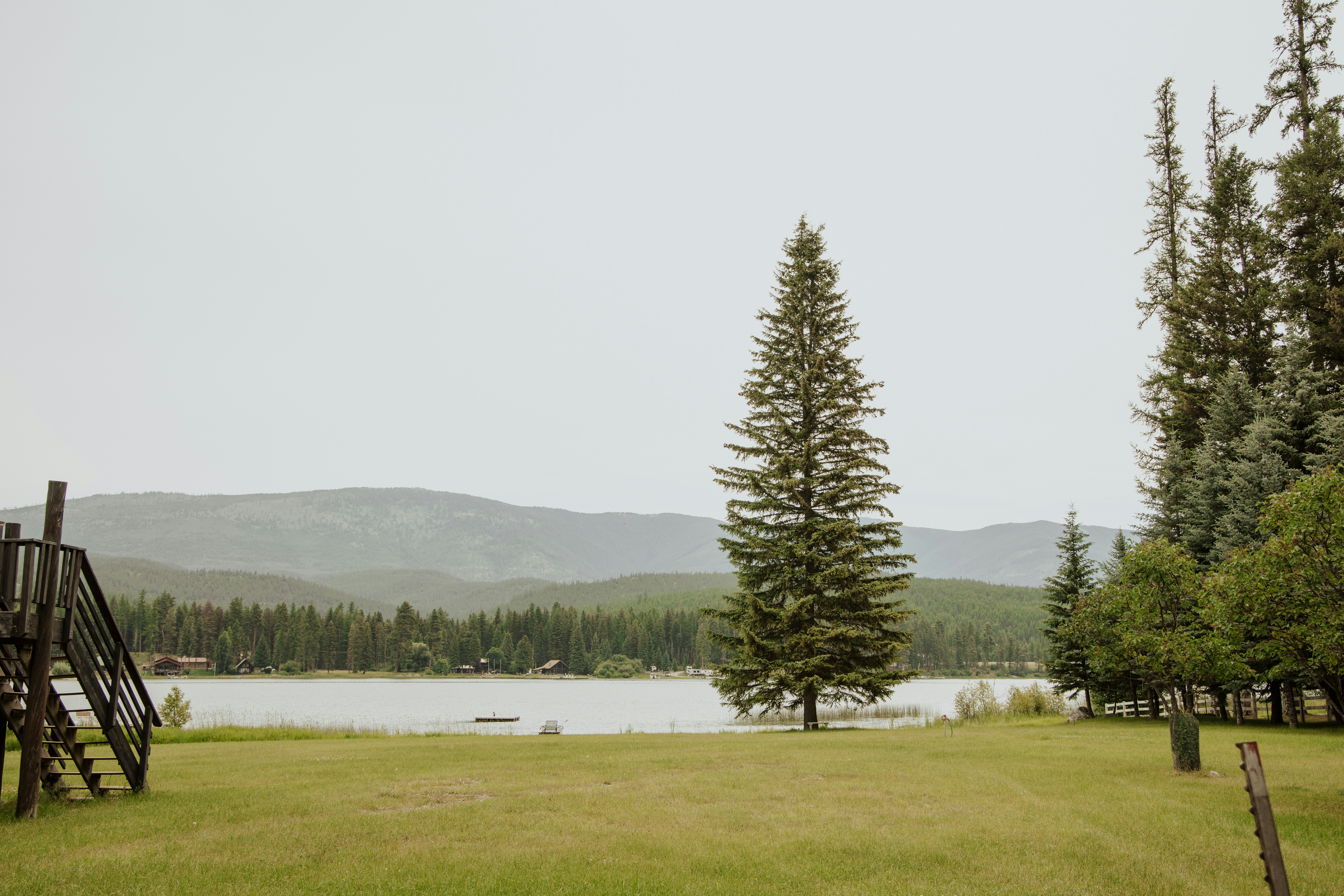 un champ herbeux à côté d’un plan d’eau