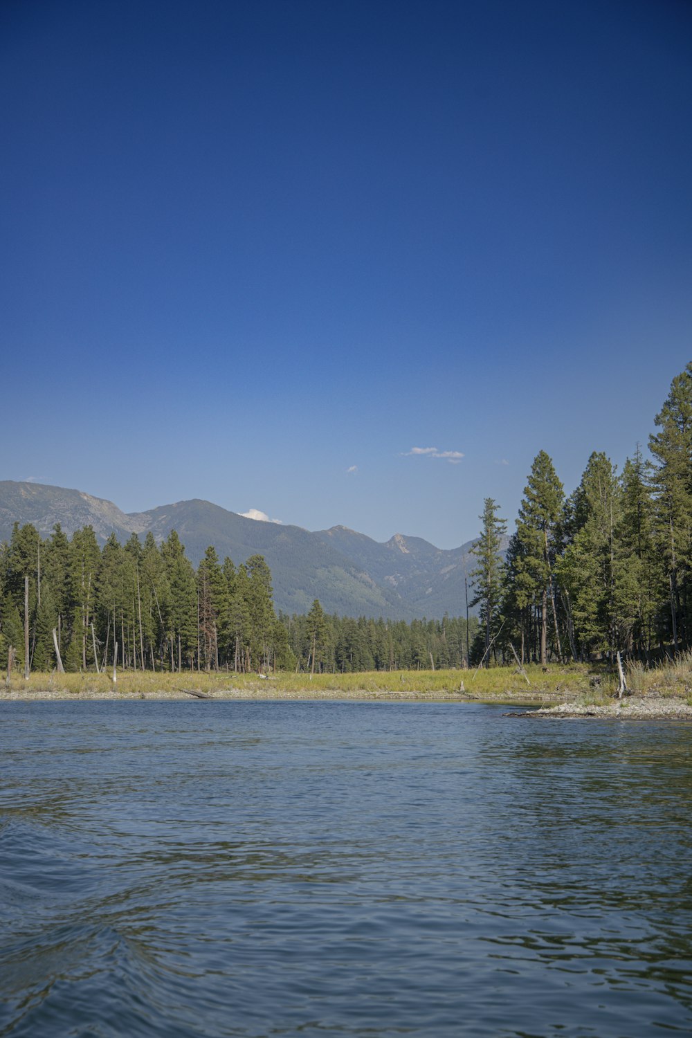 a body of water surrounded by trees and mountains