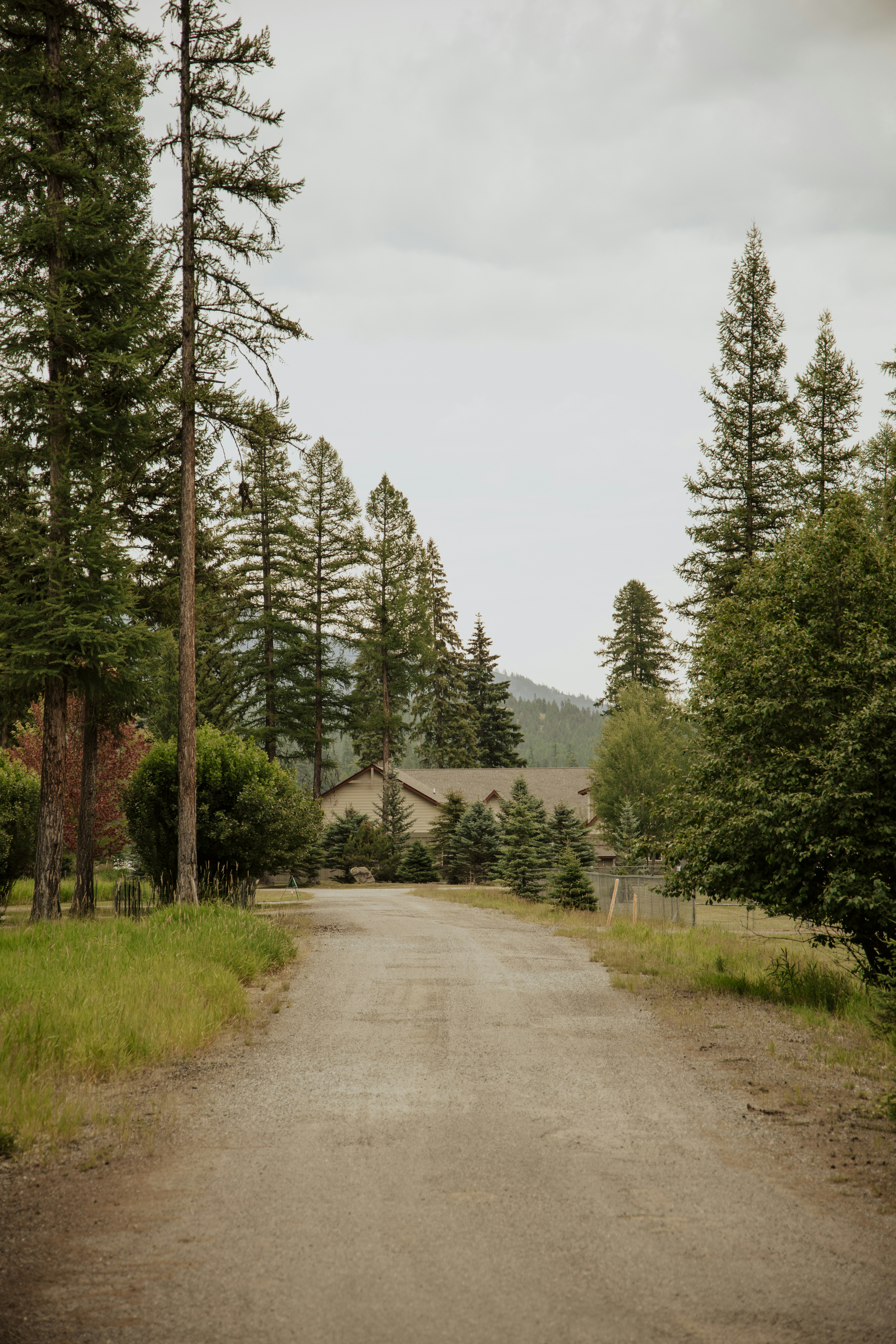 Photo by lilyycamillephoto