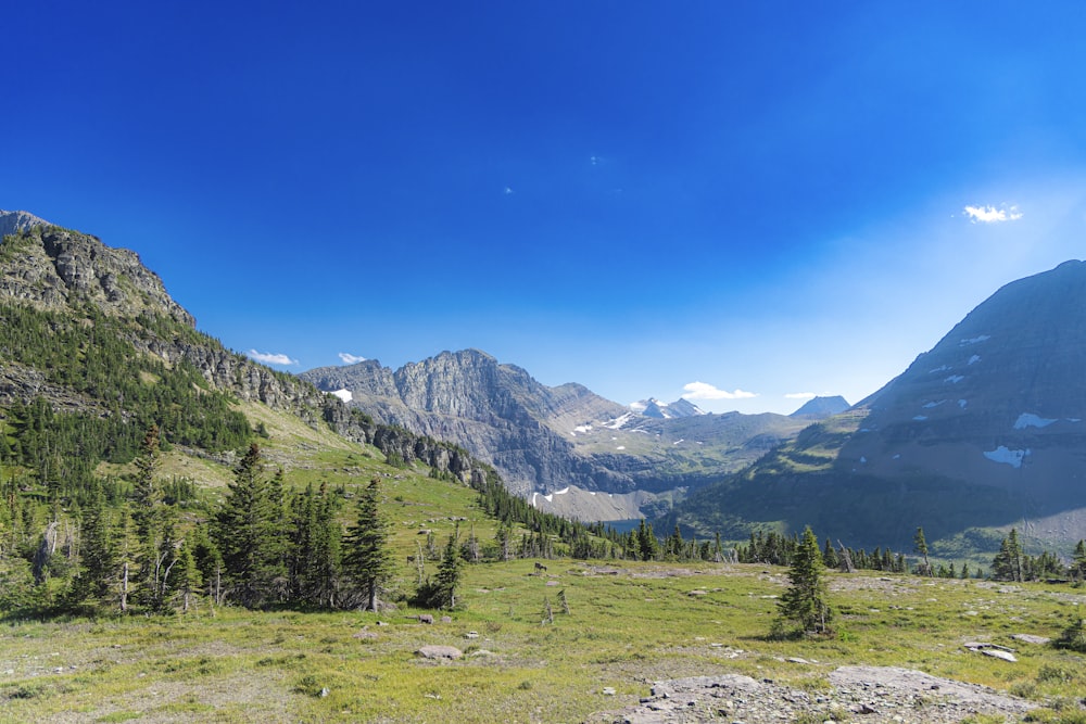 a view of a mountain range with trees and grass