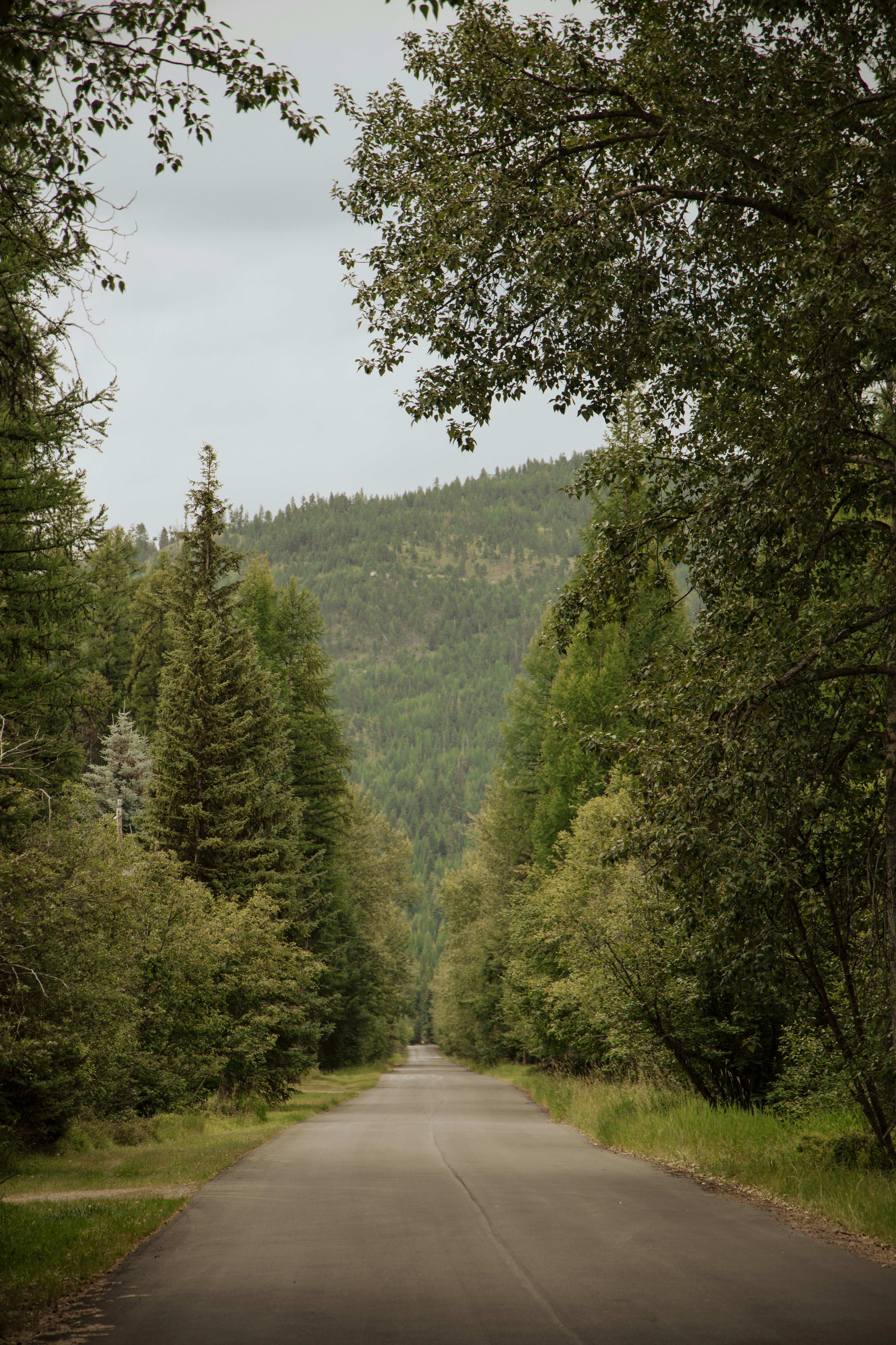 Photo by lilyycamillephoto