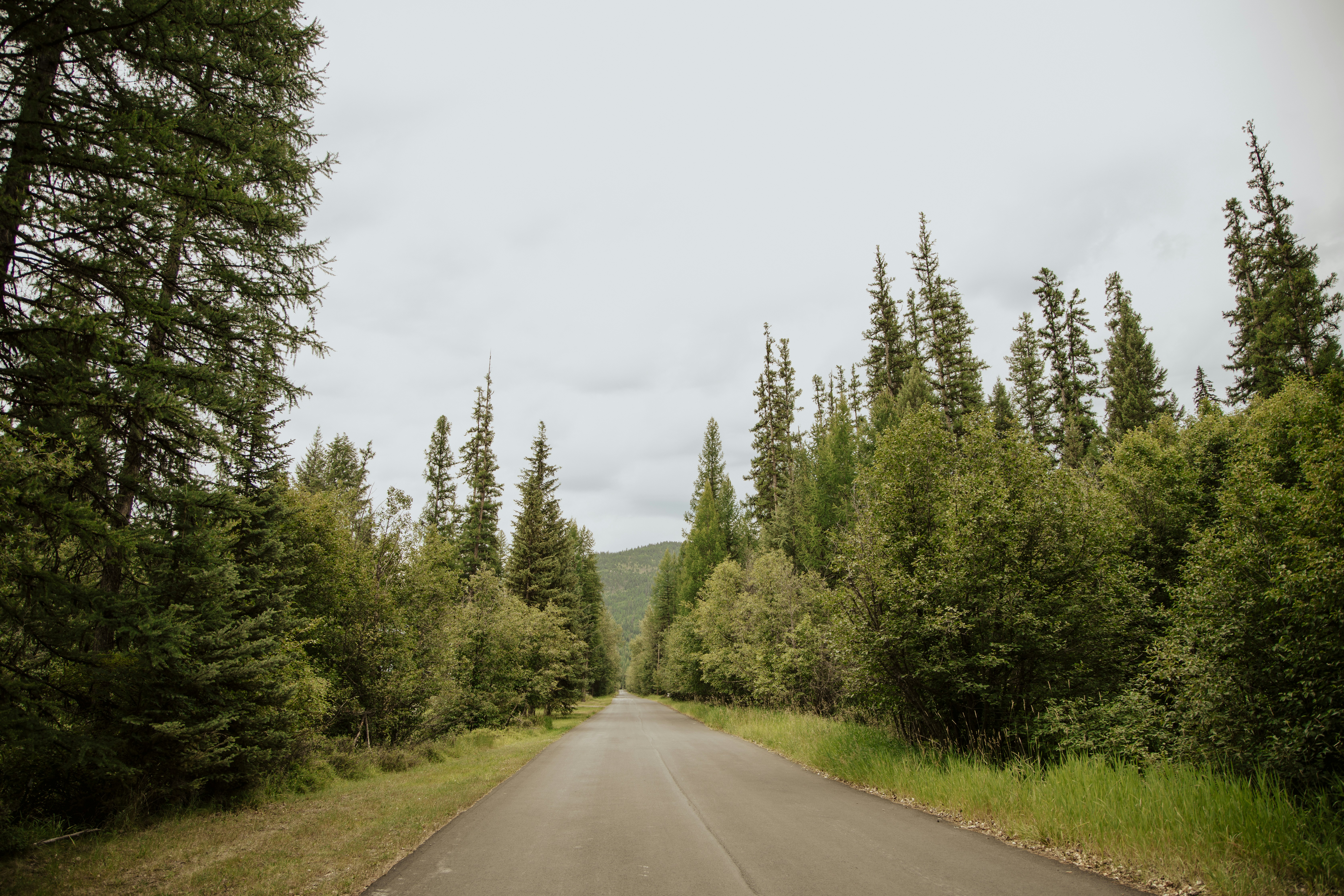 Photo by lilyycamillephoto