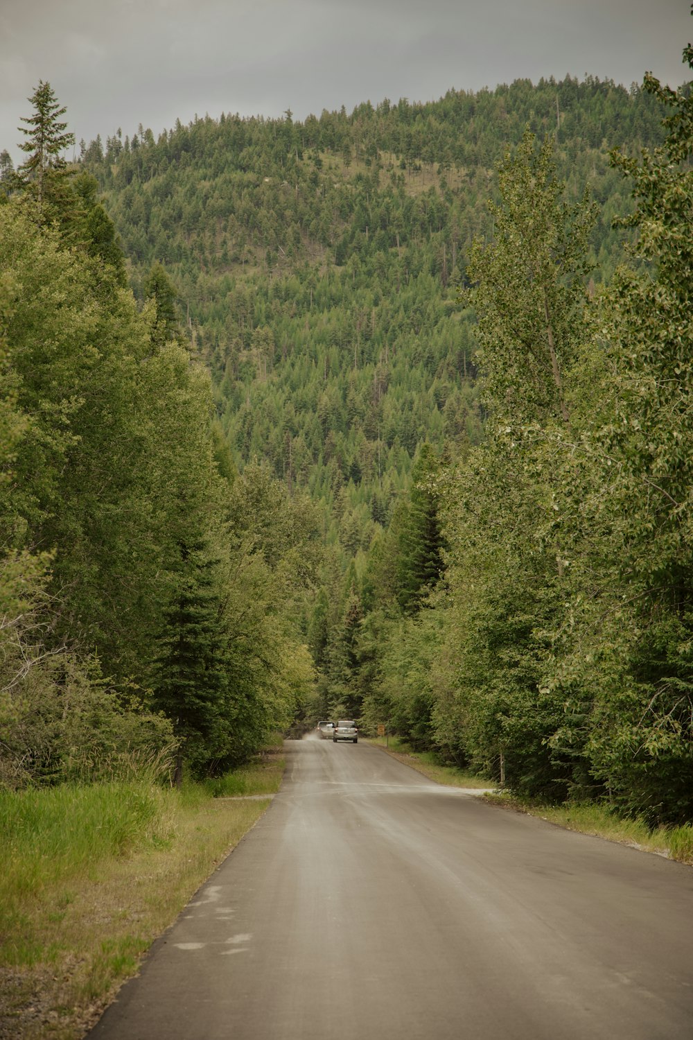 a car driving down a road in the middle of a forest