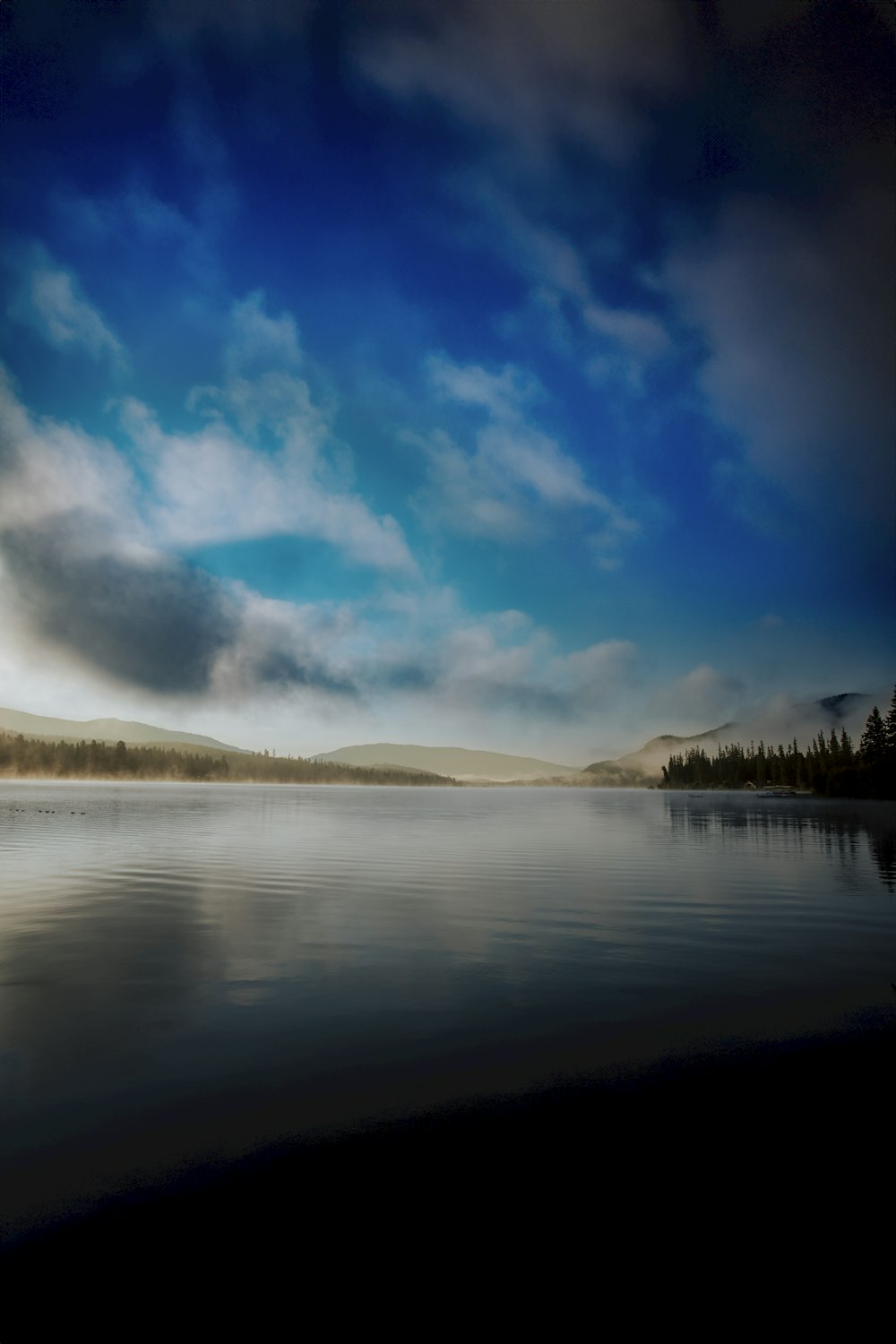 a large body of water surrounded by a forest