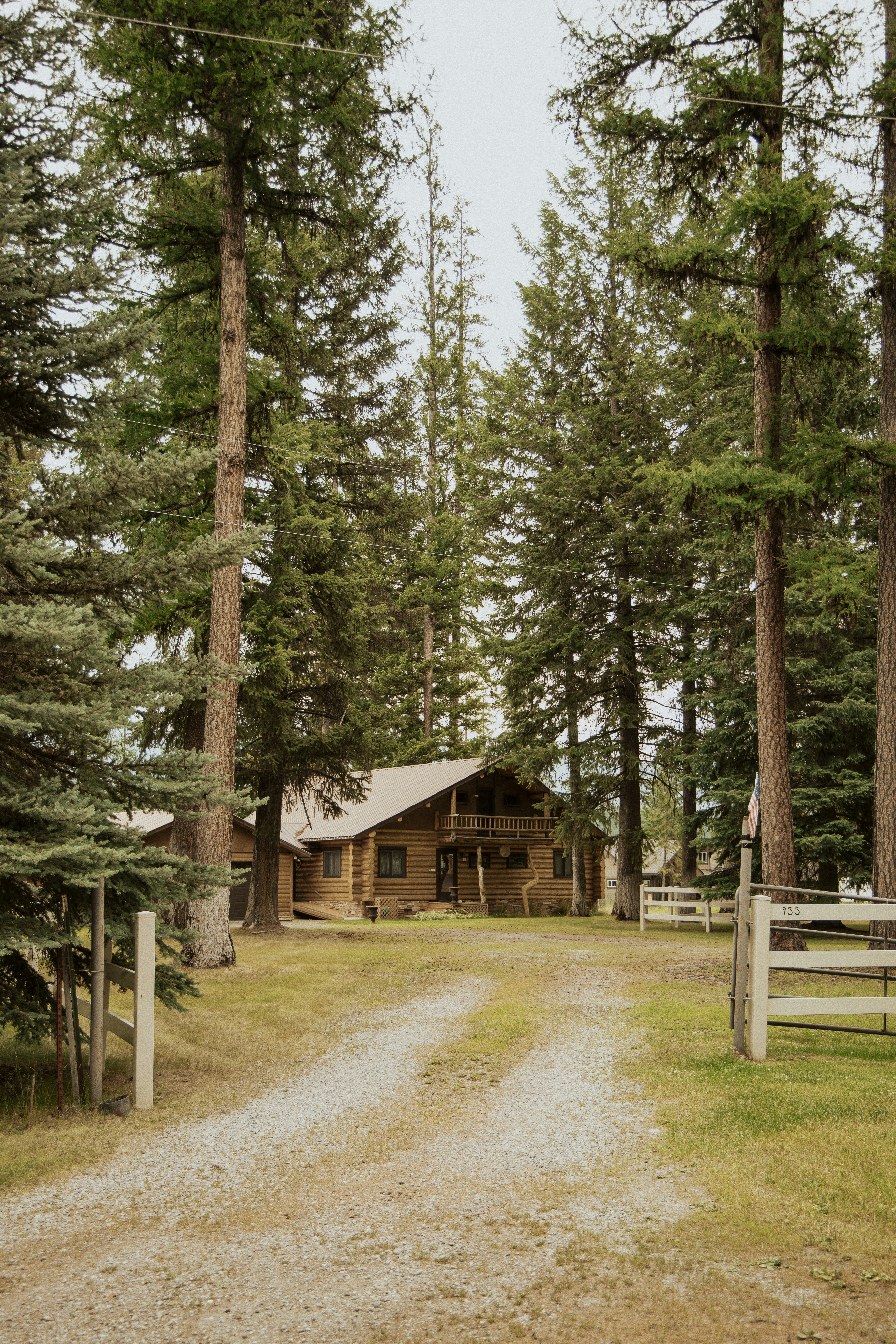 Photo by lilyycamillephoto