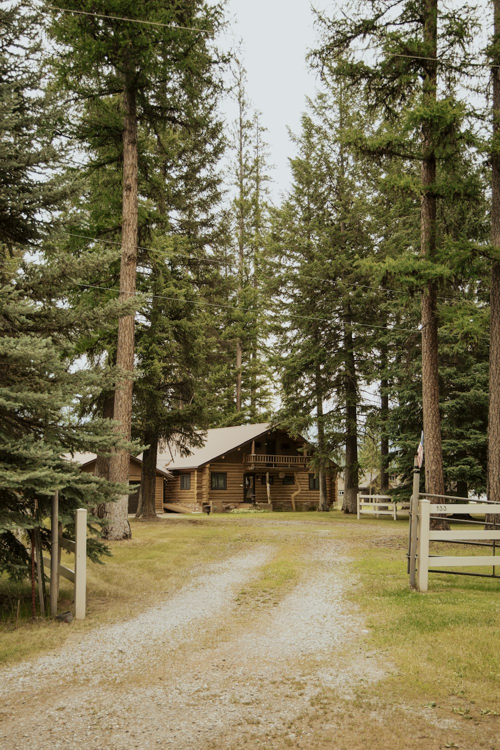 a dirt road in front of a cabin surrounded by trees