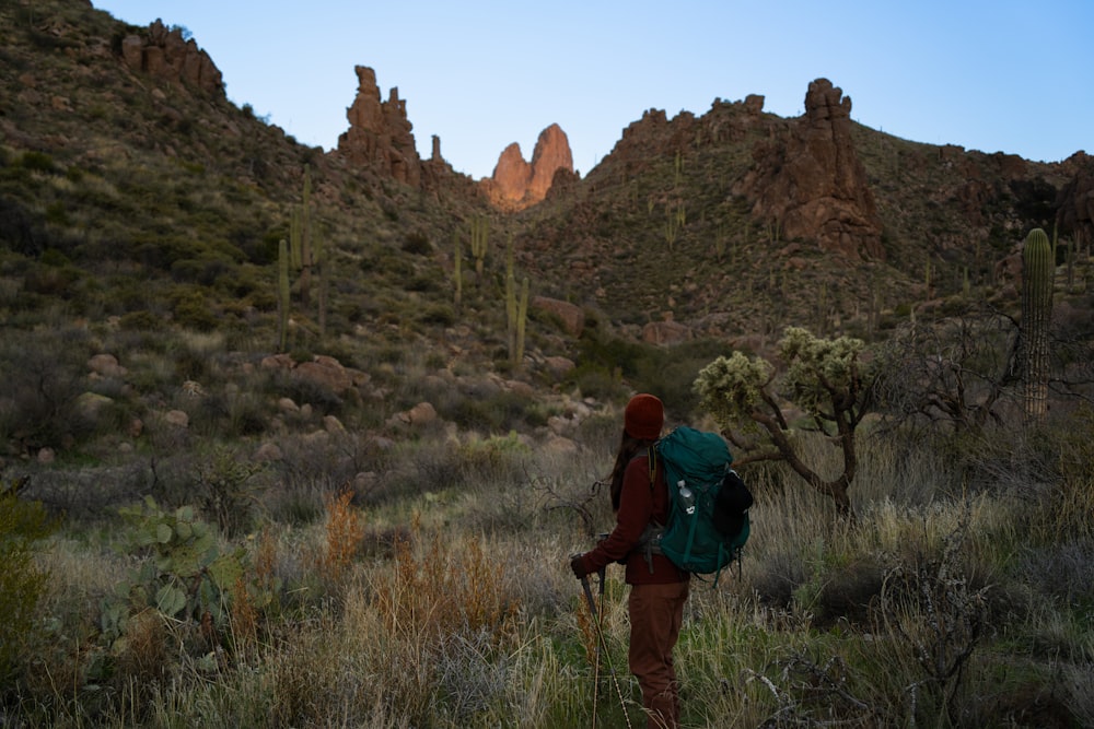 a person with a backpack walking through a field