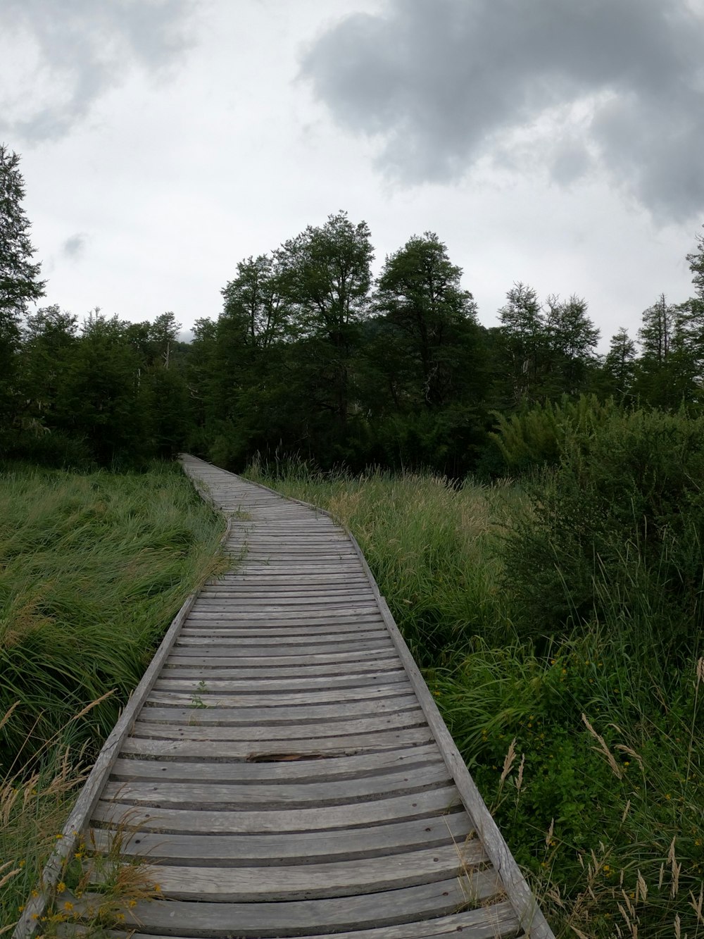 a wooden walkway in a grassy area under a cloudy sky