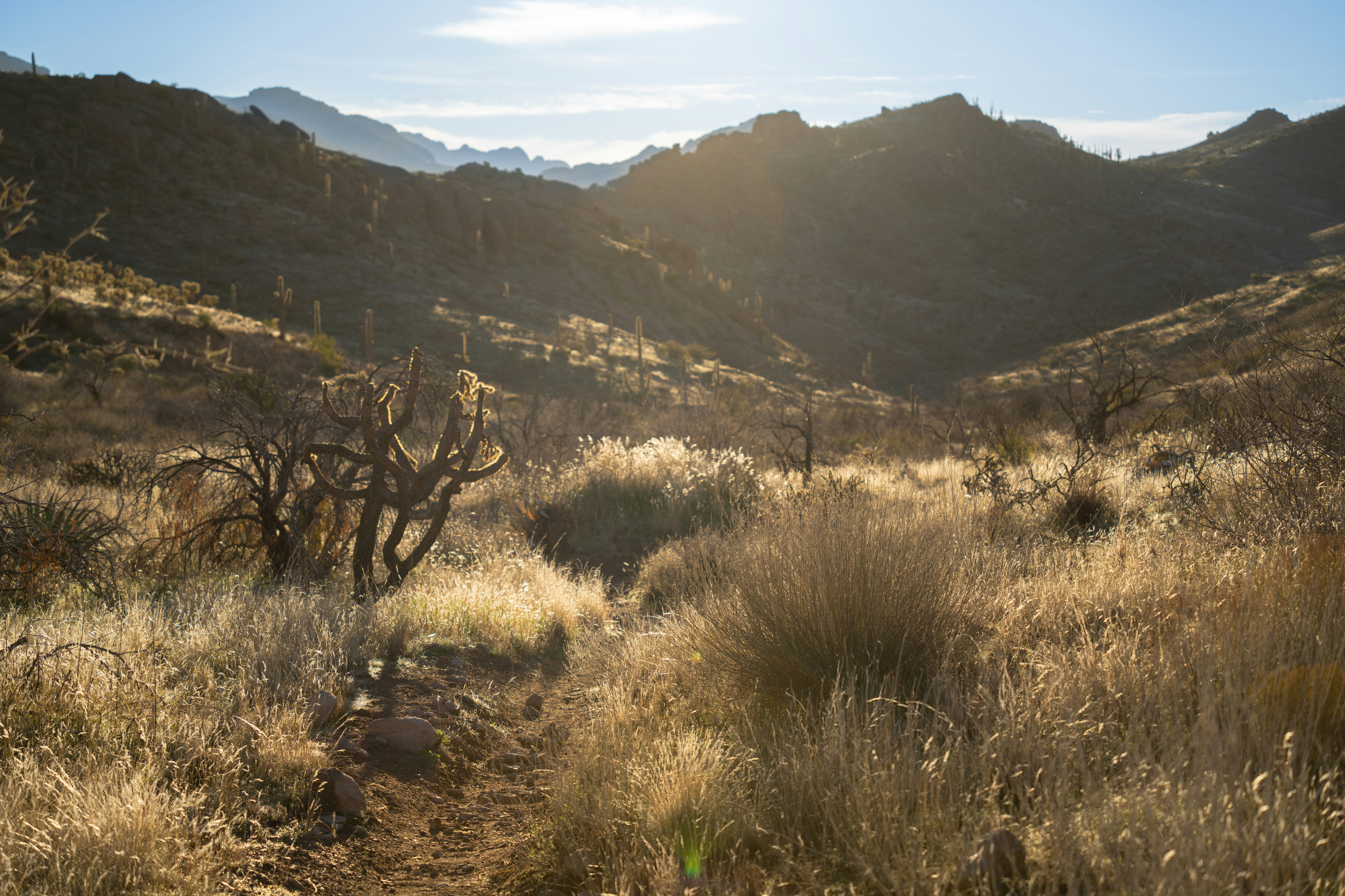 Photo by alexmoliski