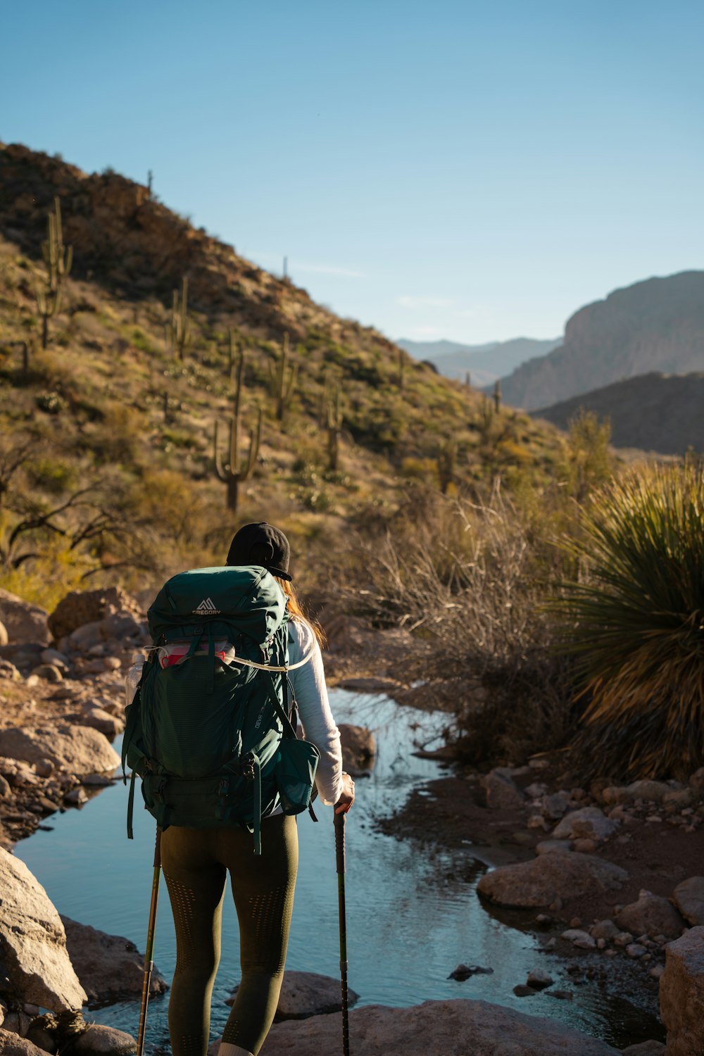 a person with a backpack and walking sticks