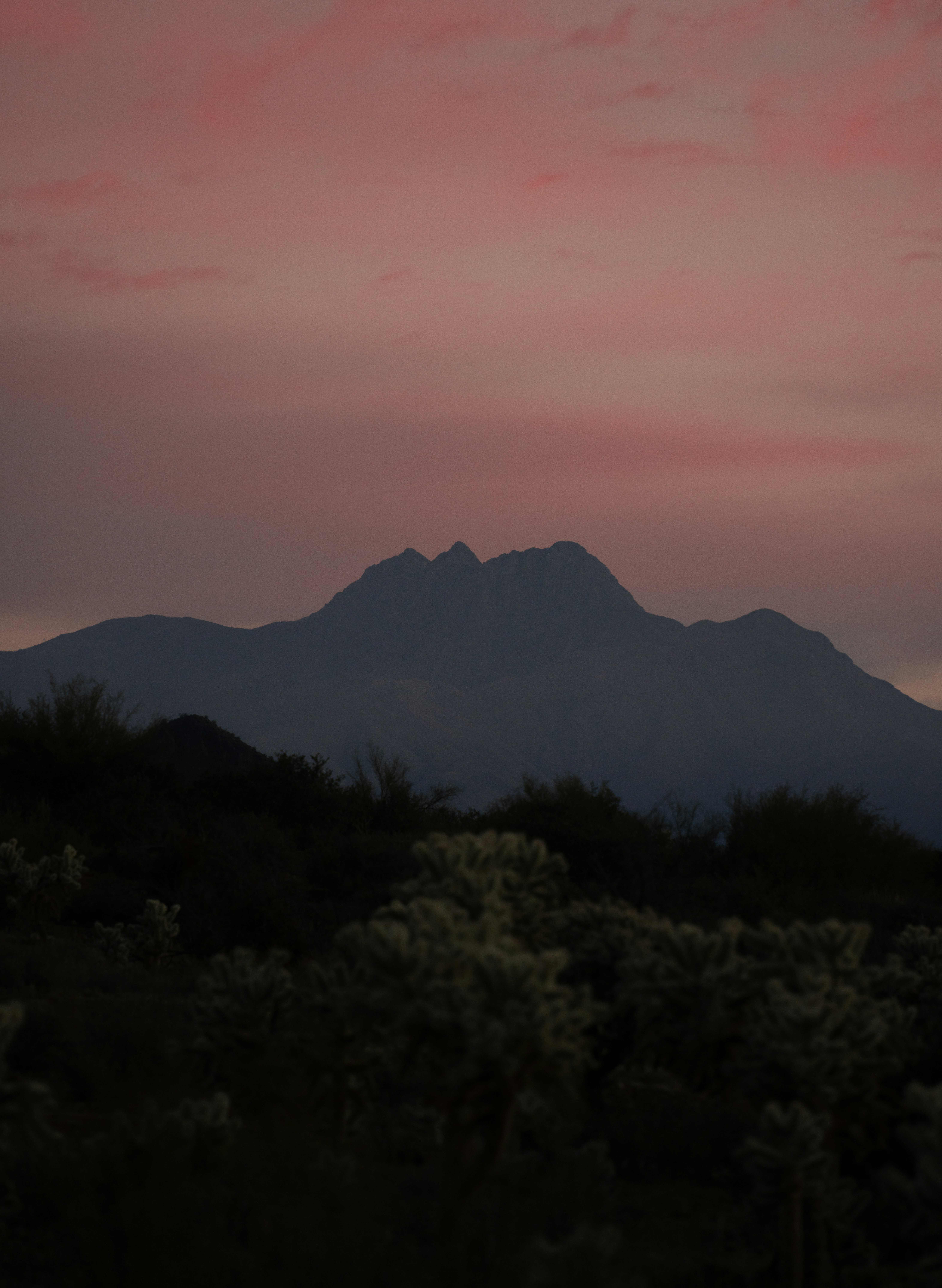 Photo by alexmoliski