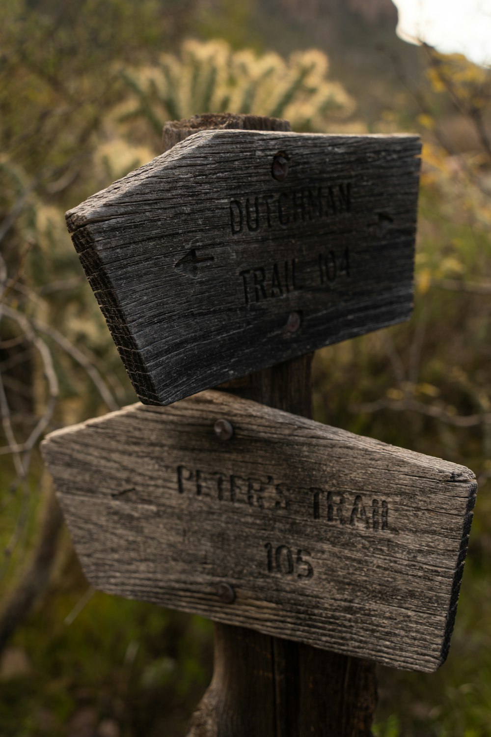 two wooden signs on a wooden post in the woods