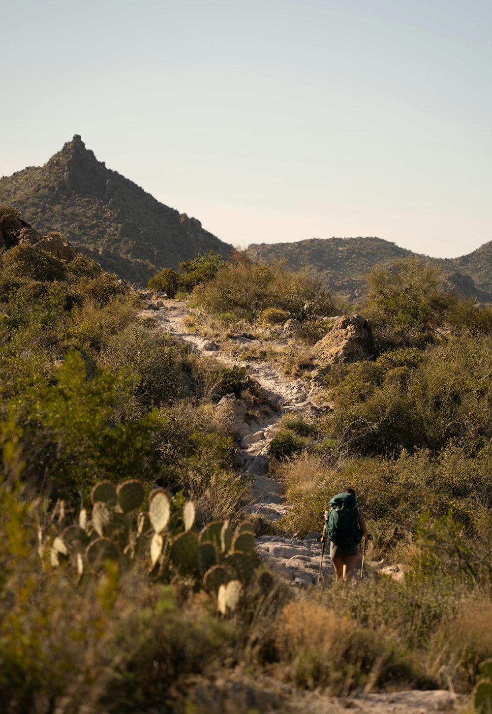 una persona que camina por un sendero en las montañas