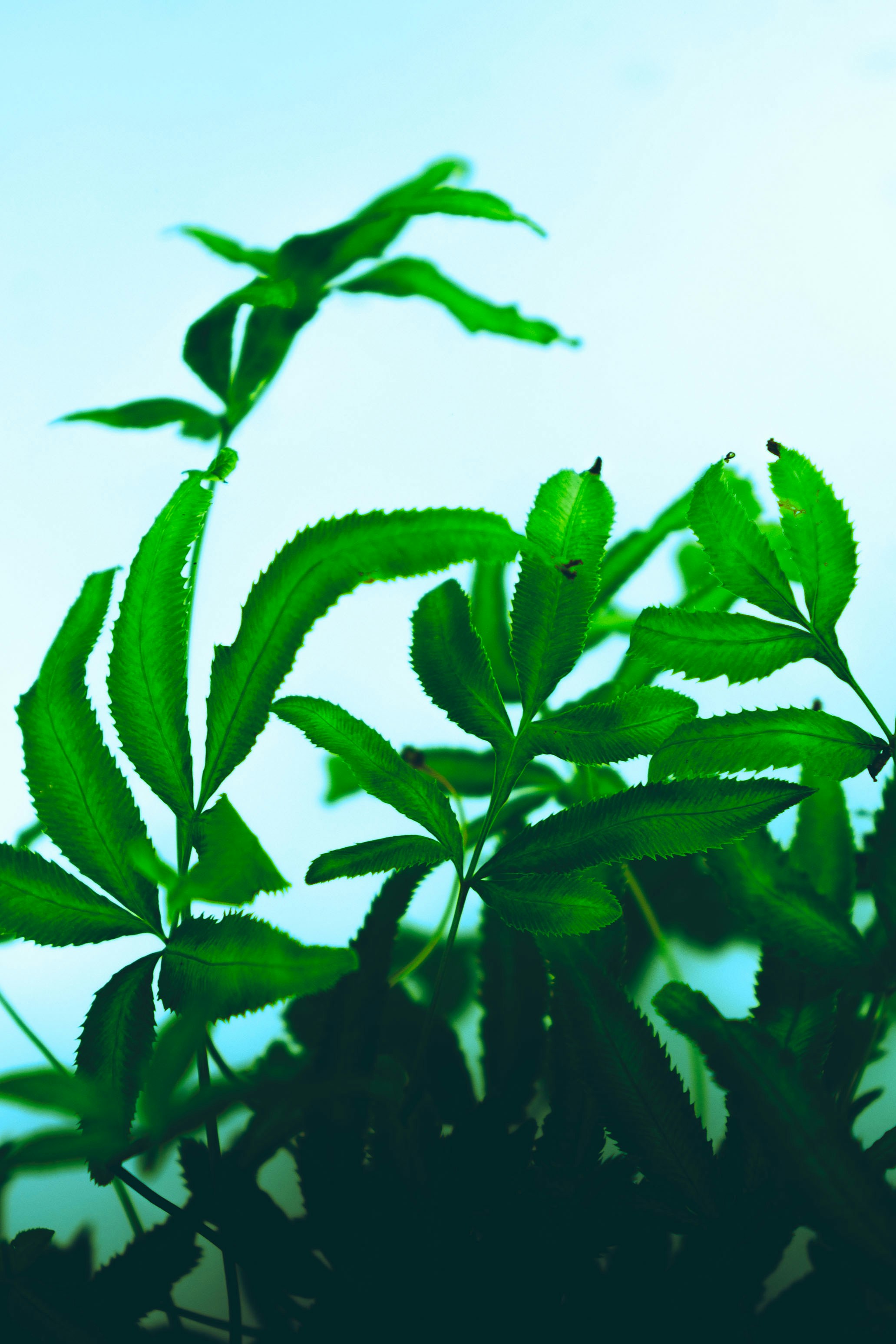 Photo by parkerdesignsss