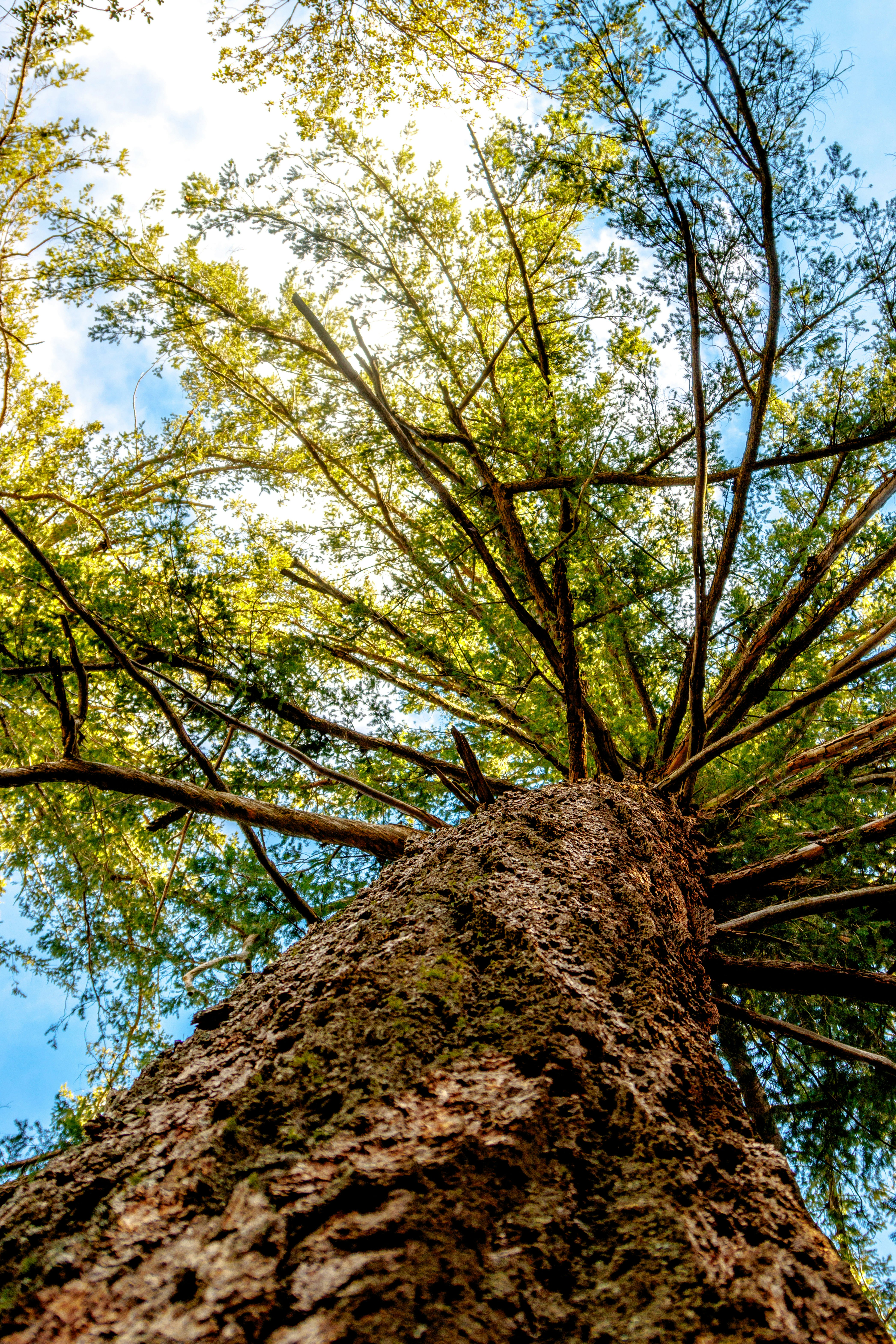 Photo by parkerdesignsss