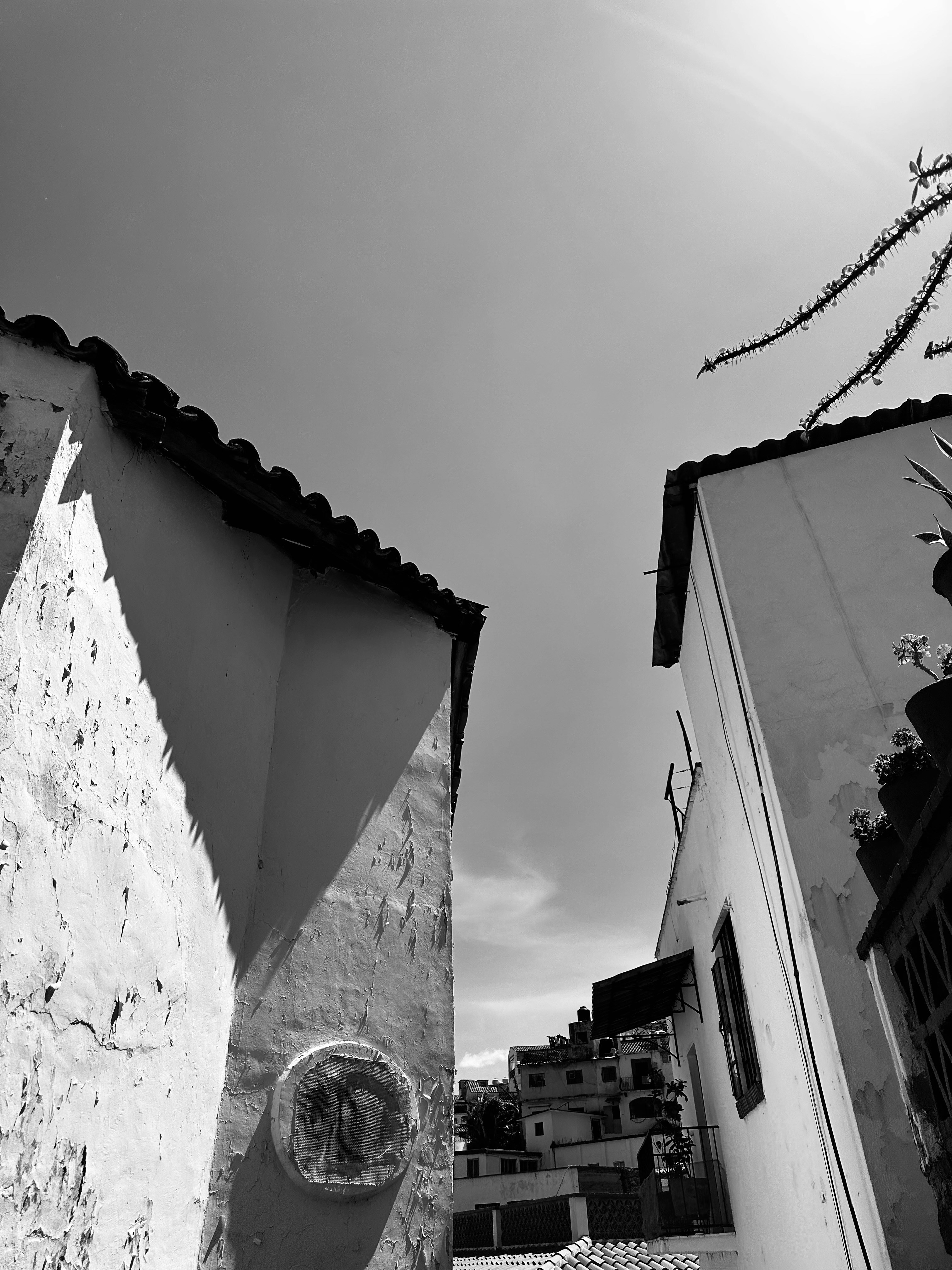 Photo by thefrankfuentes