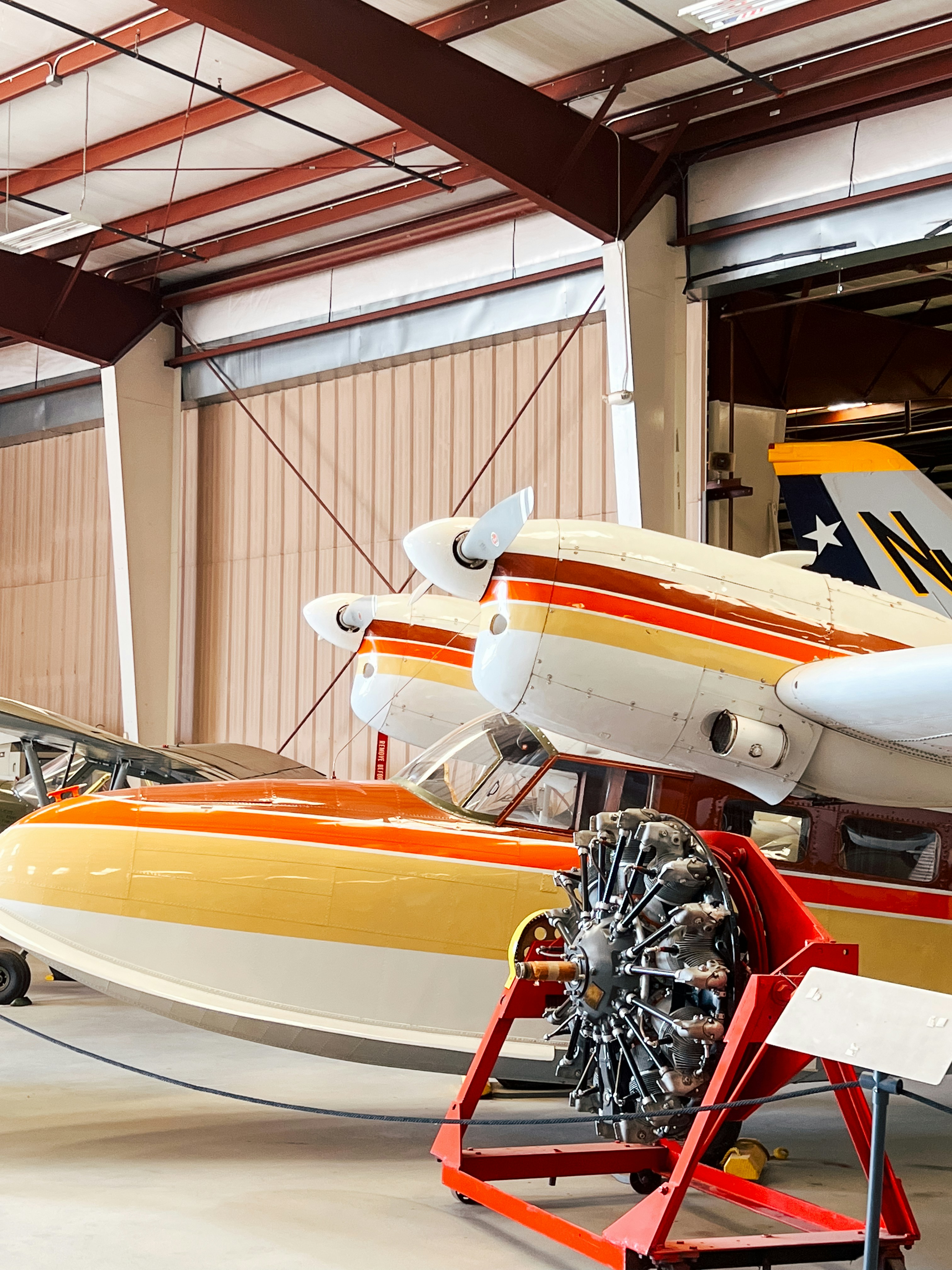 Photo by southcypress