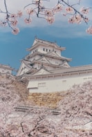 a castle with cherry blossoms in front of it