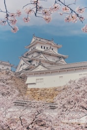 a castle with cherry blossoms in front of it