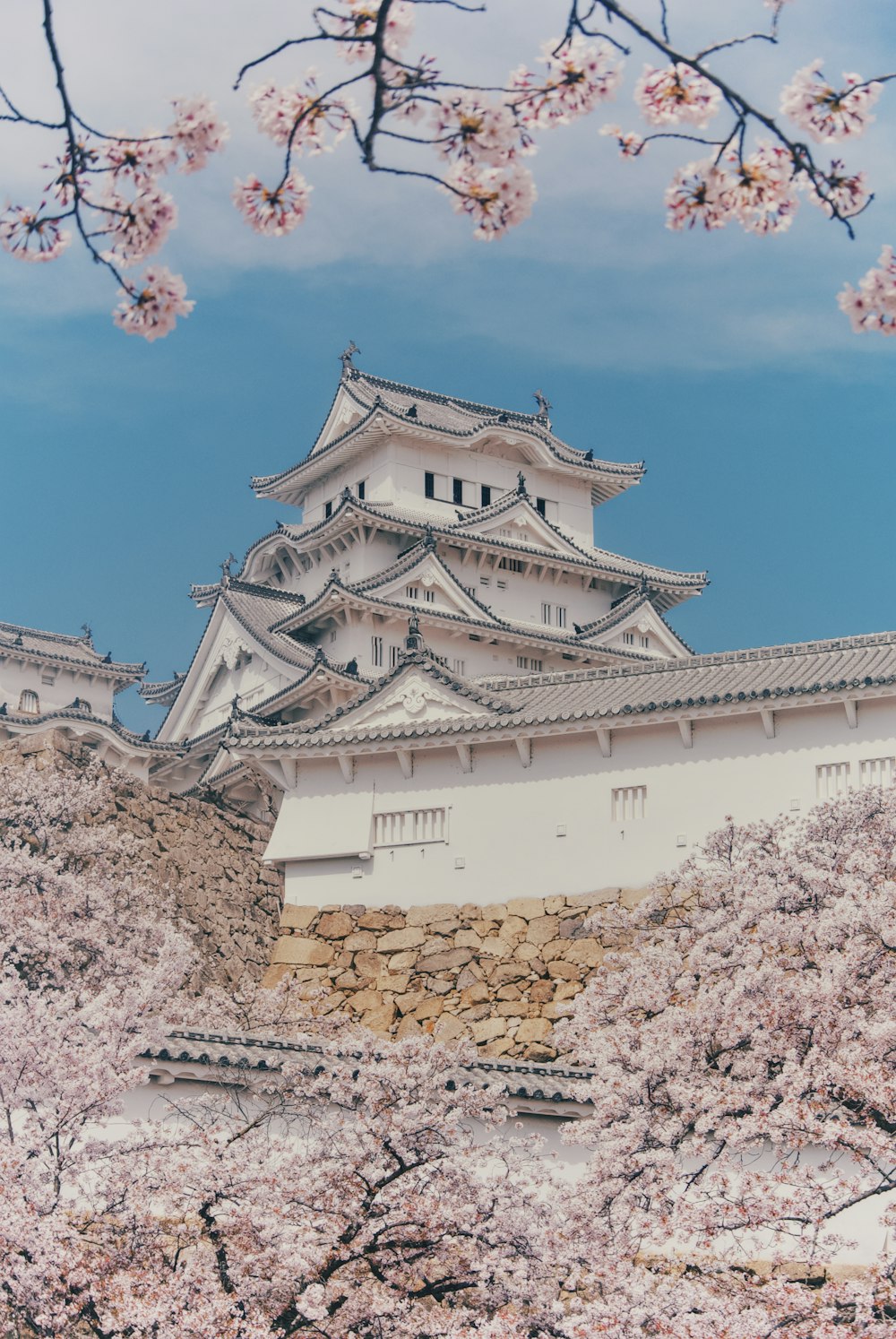 a castle with cherry blossoms in front of it