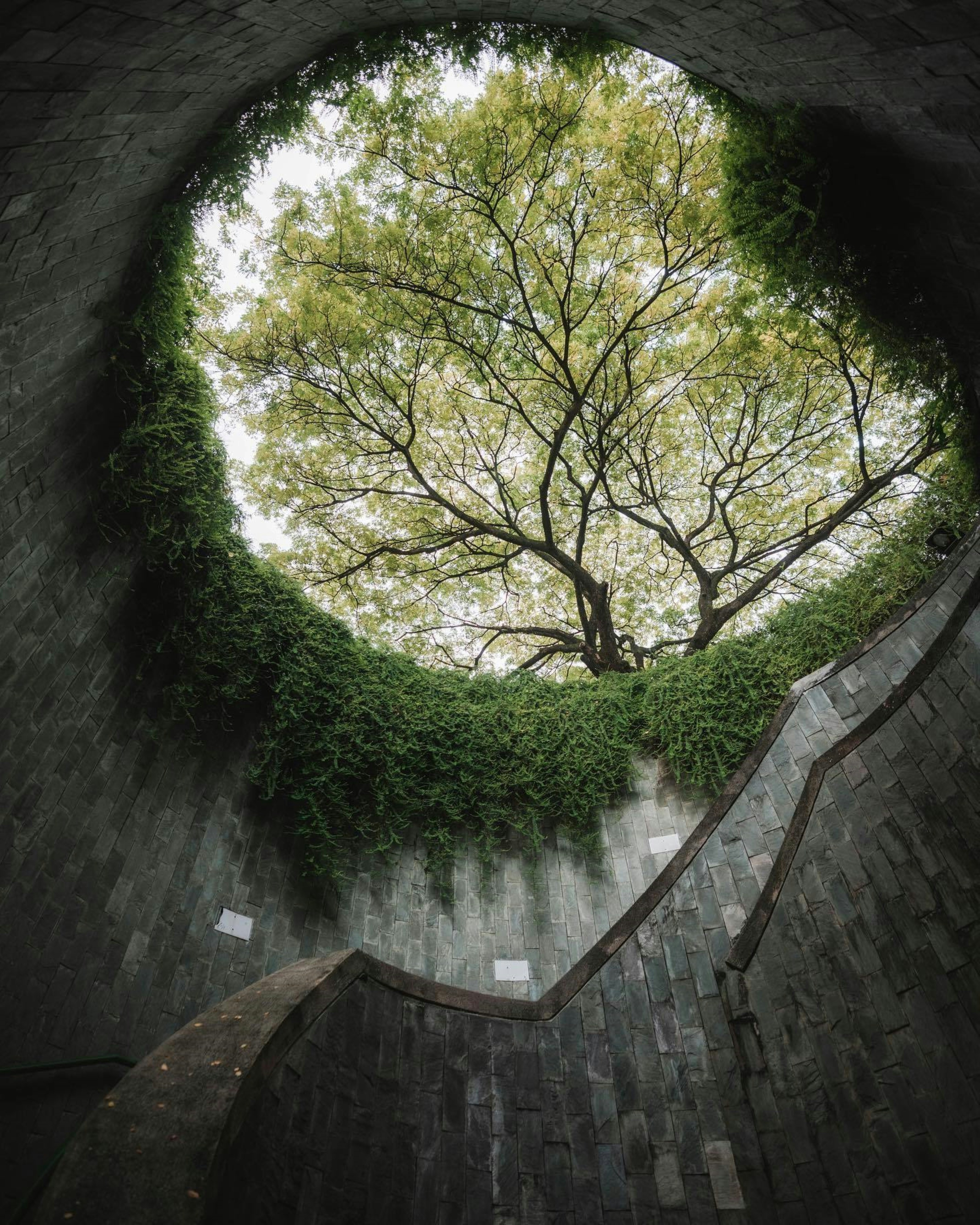 Photo by ilhamrahmat