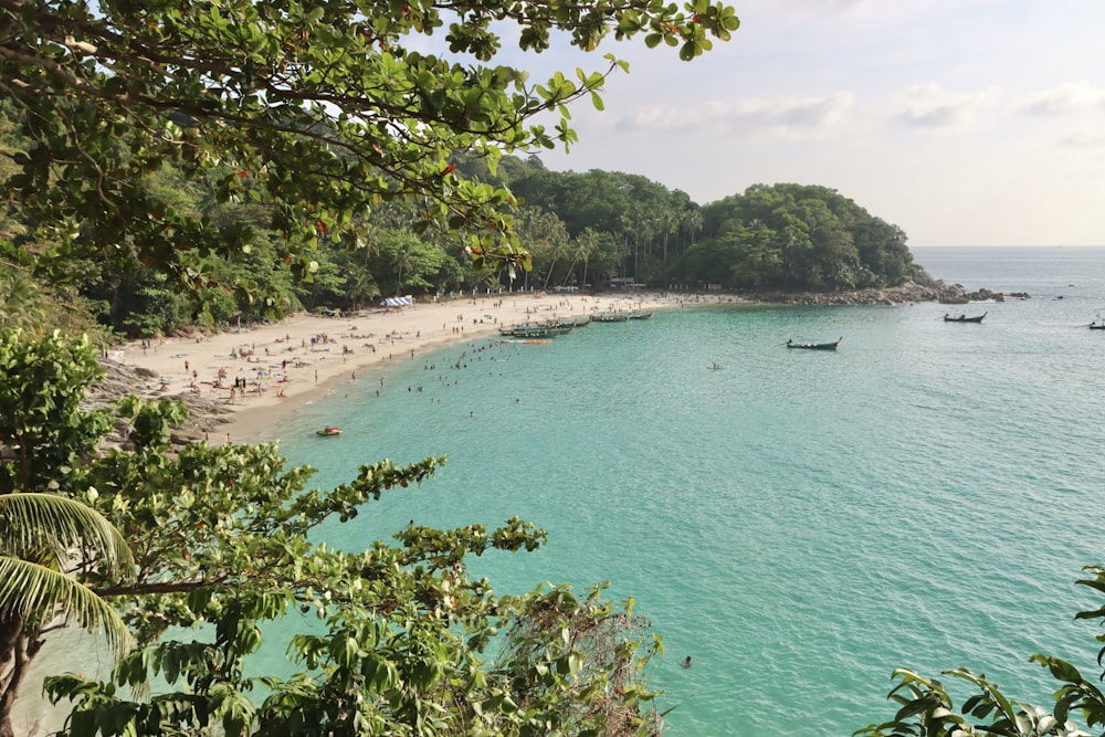 Una playa con muchos barcos y gente en ella