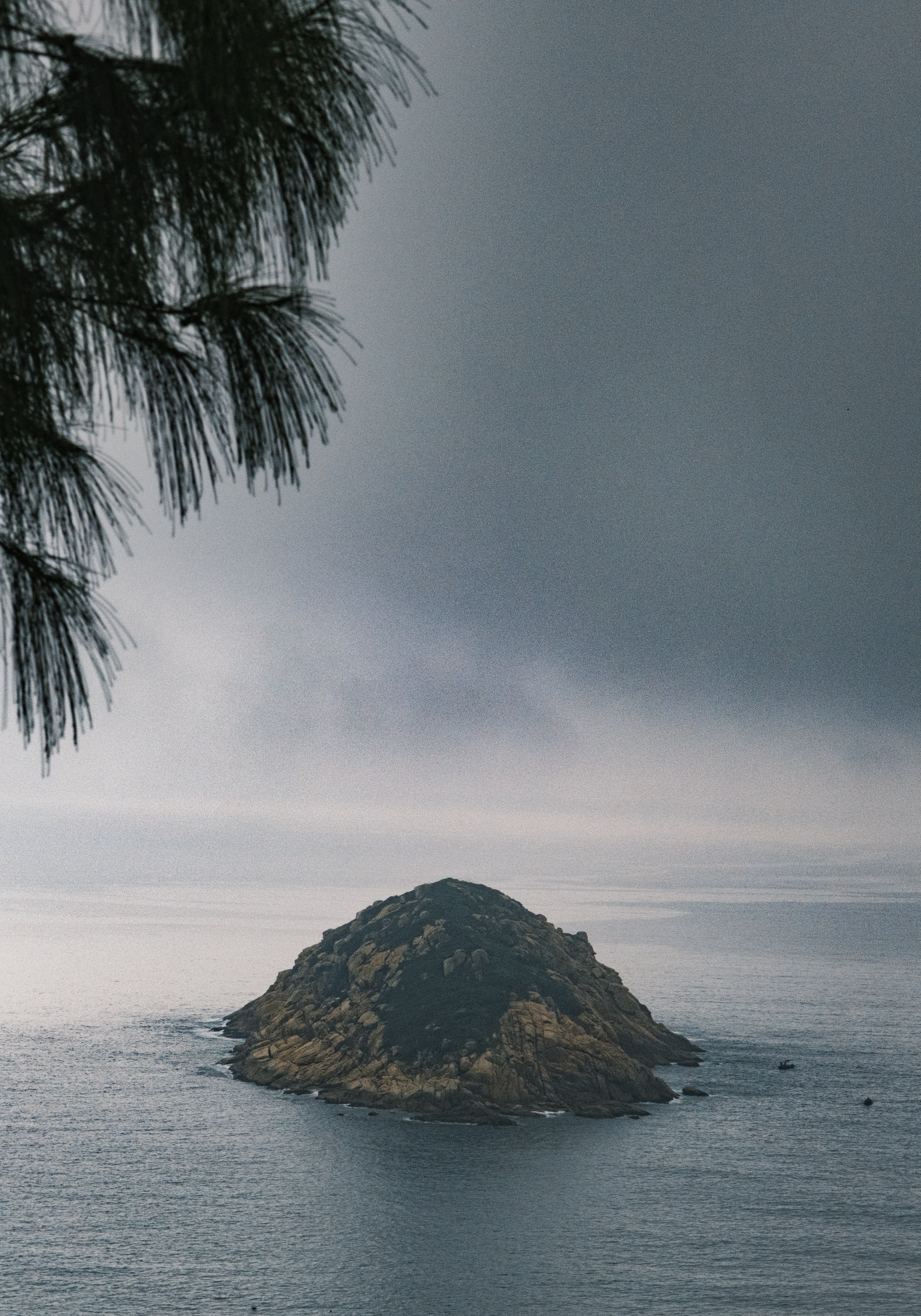 Photo by samuelwu