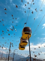 a large flock of birds flying over a train