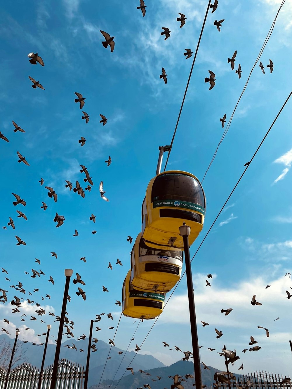 a large flock of birds flying over a train