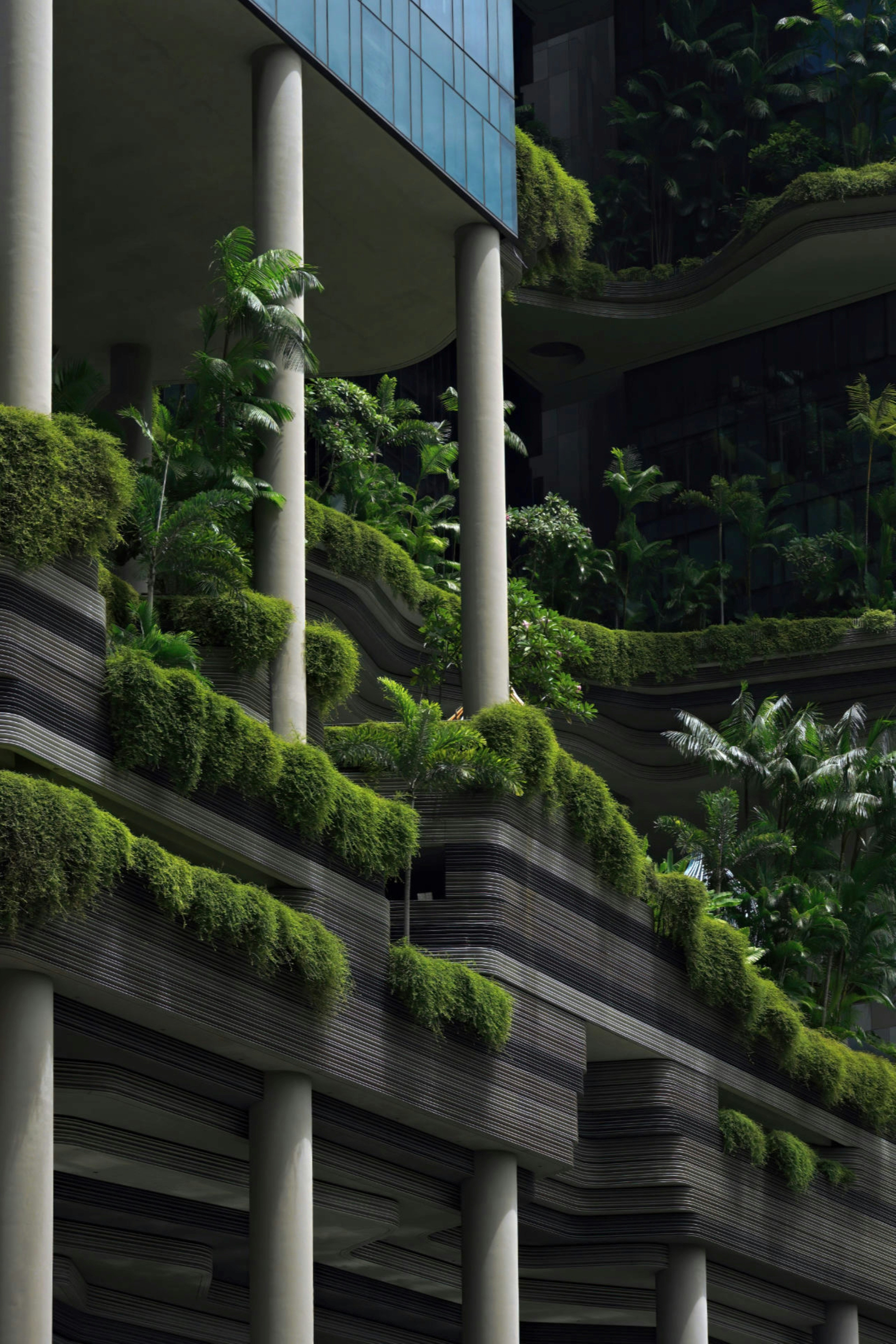 Photo by ilhamrahmat