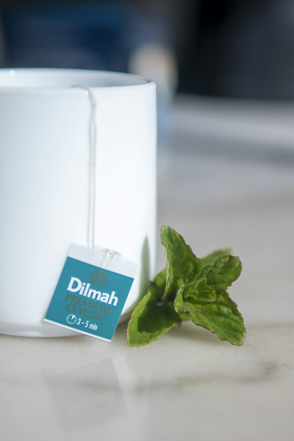 a green leafy plant sitting next to a white cup