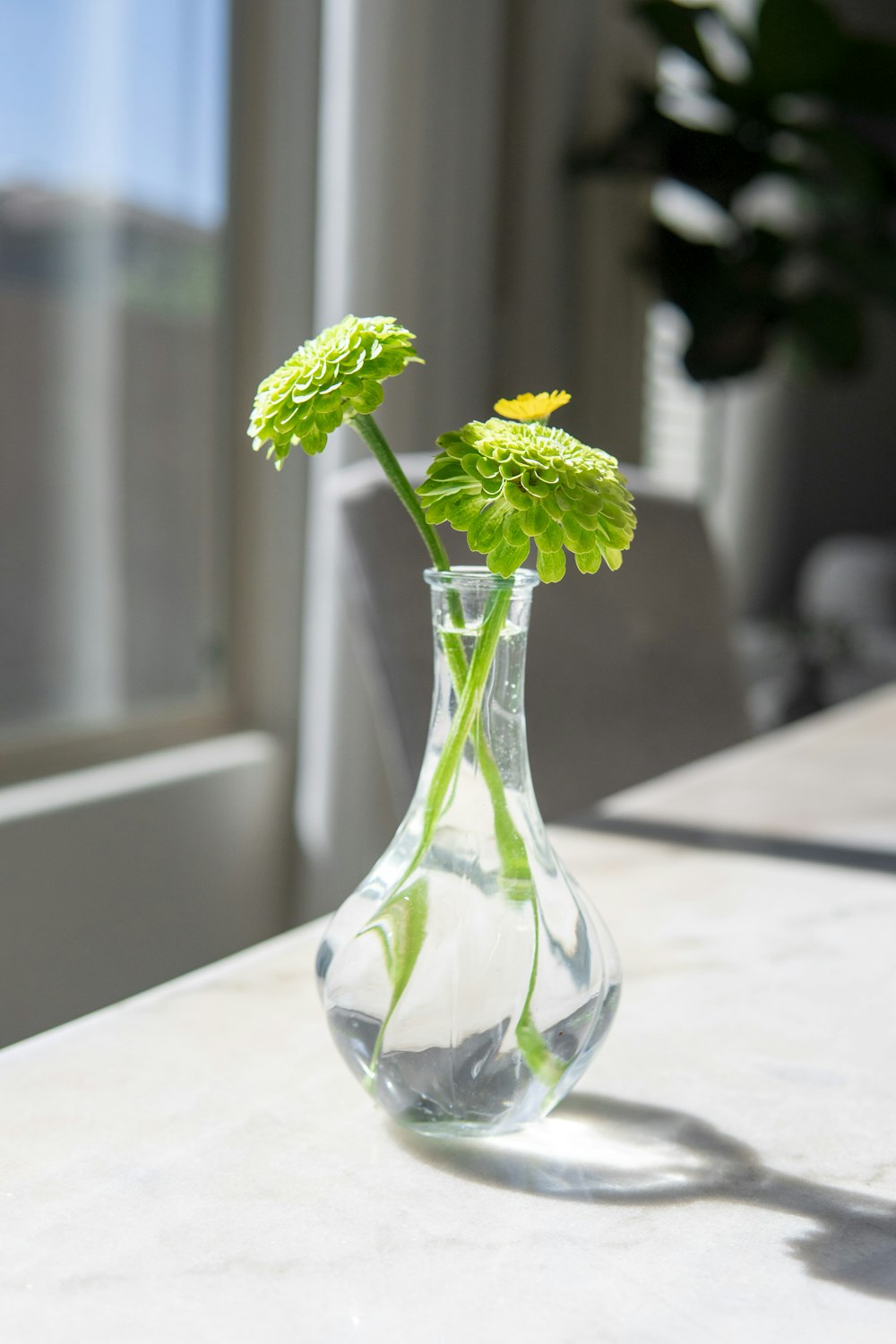 a glass vase filled with green flowers on a table