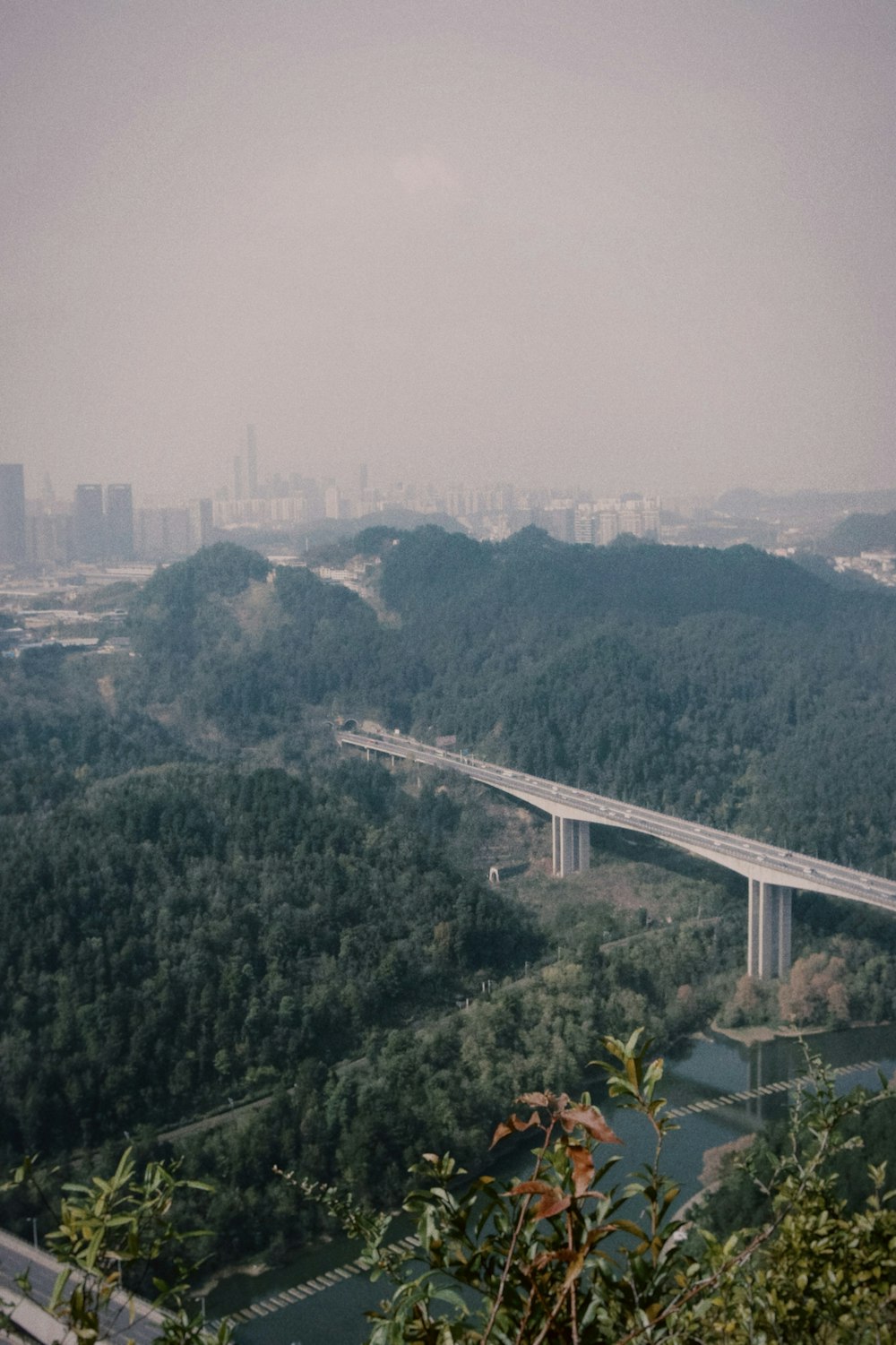 a view of a bridge over a river in the middle of a forest