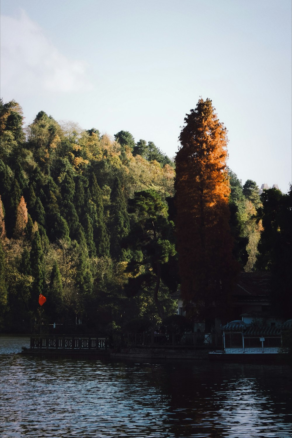 a boat is on the water in front of some trees