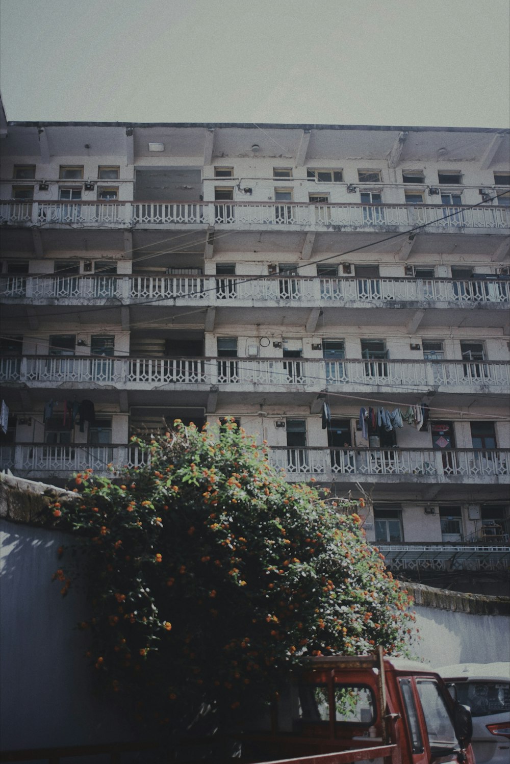 an orange tree in front of an apartment building