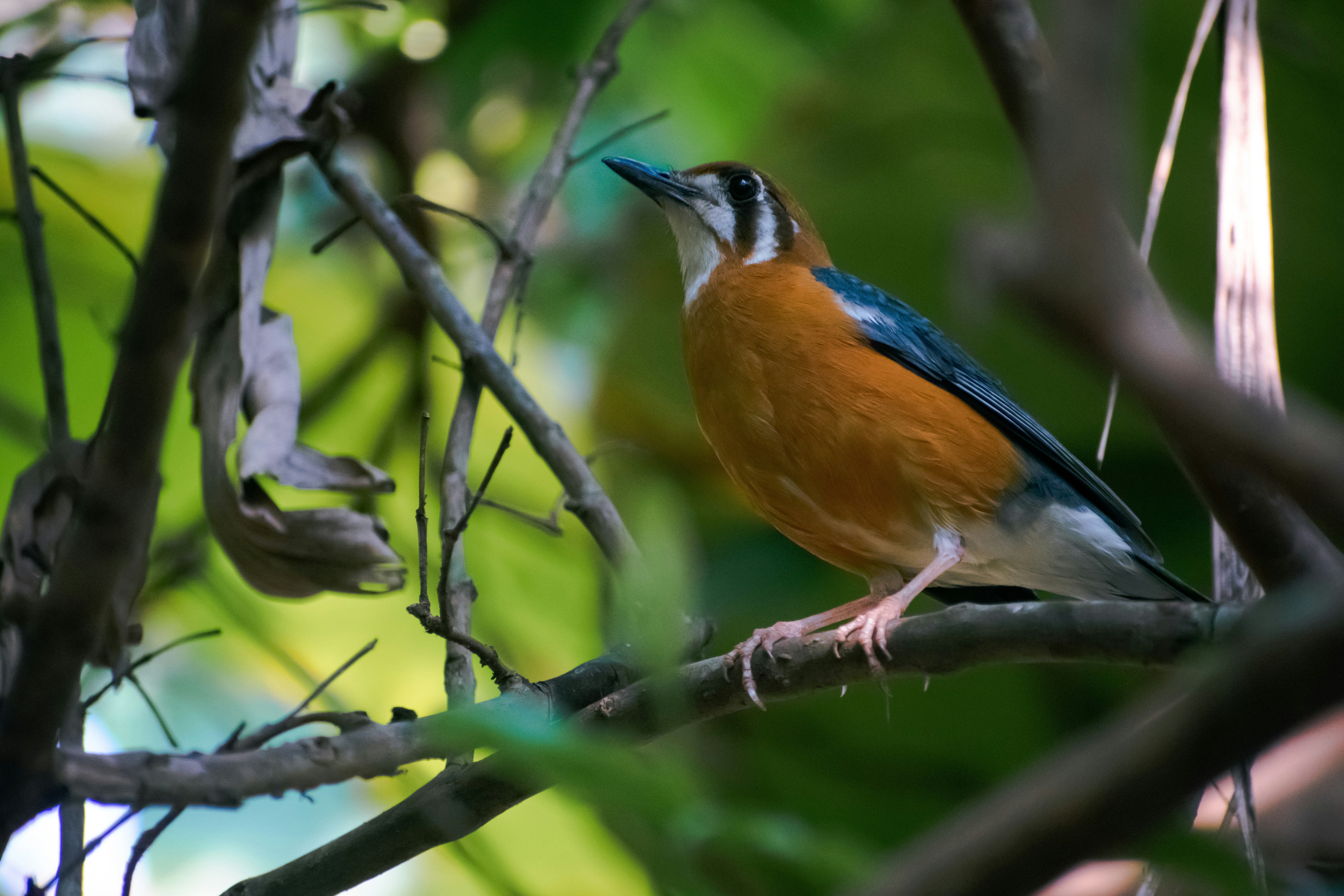 Photo by martinphotography