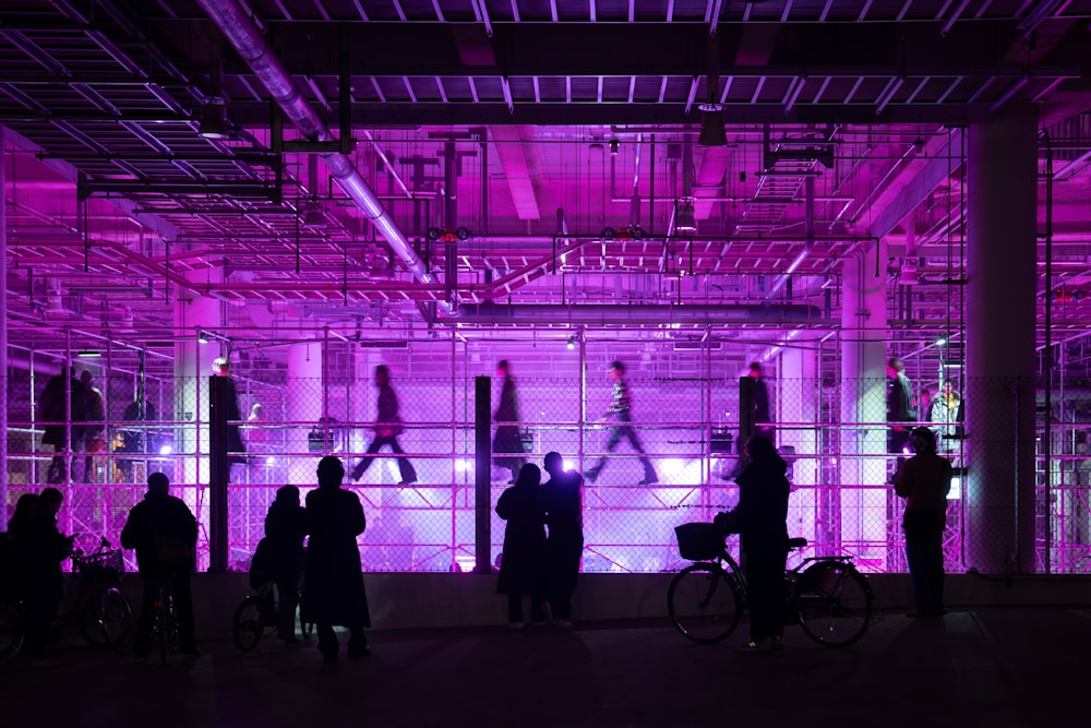 a group of people standing in front of a purple light