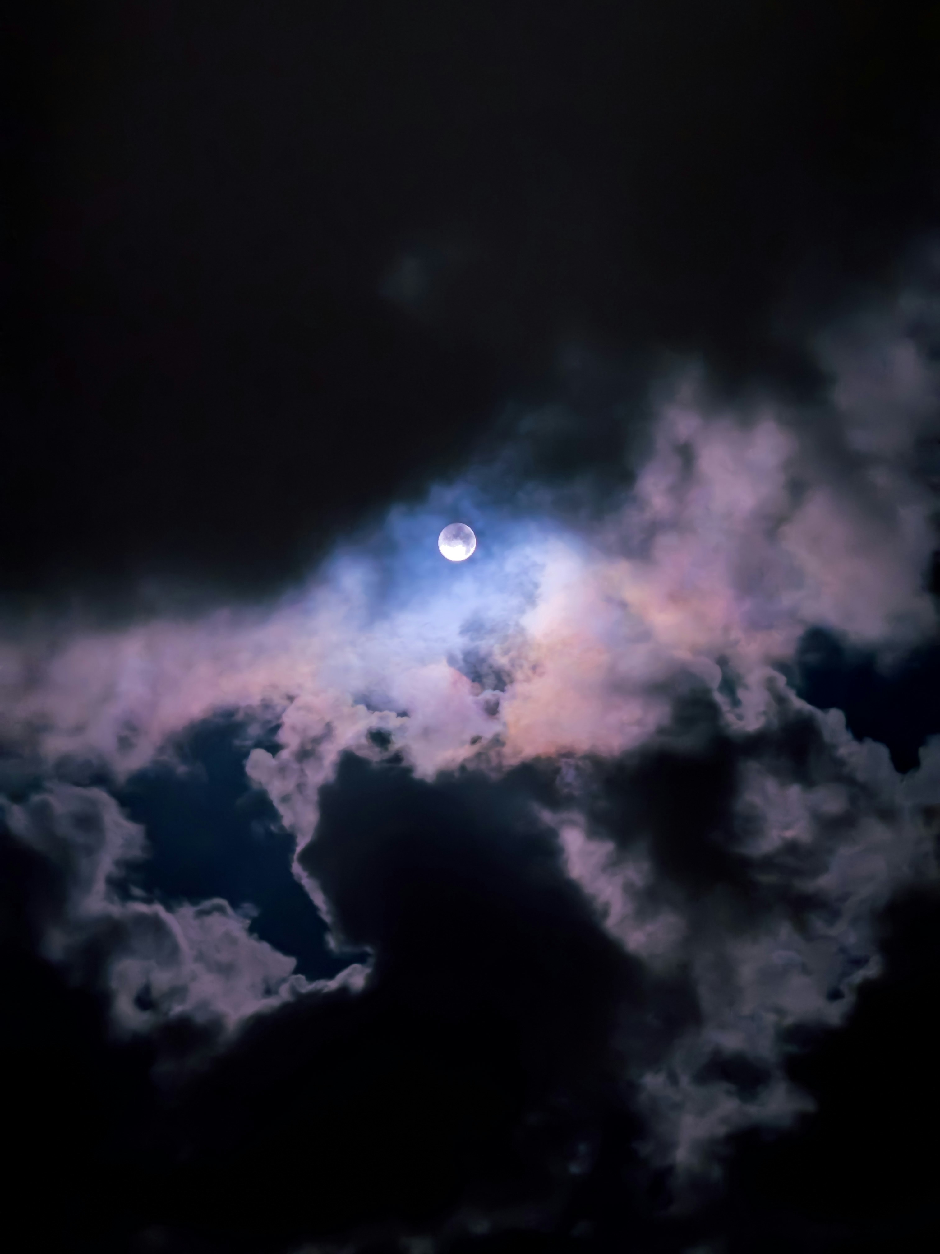 Photo by warrensammut