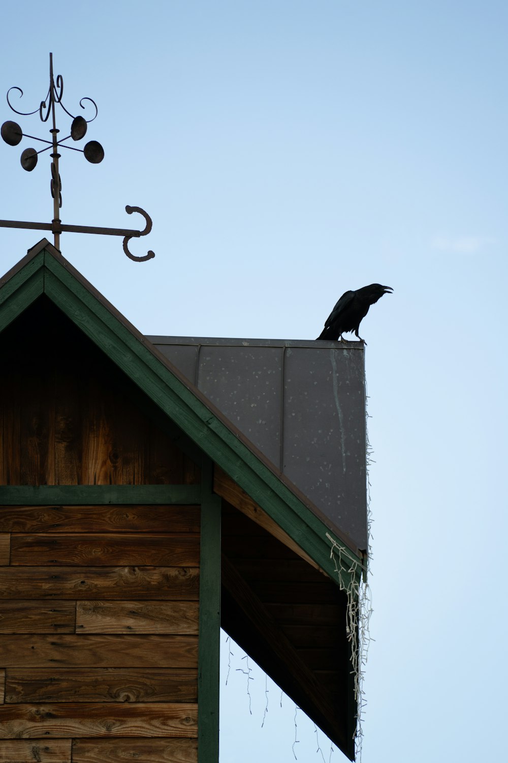 a black bird sitting on top of a roof next to a weather vane