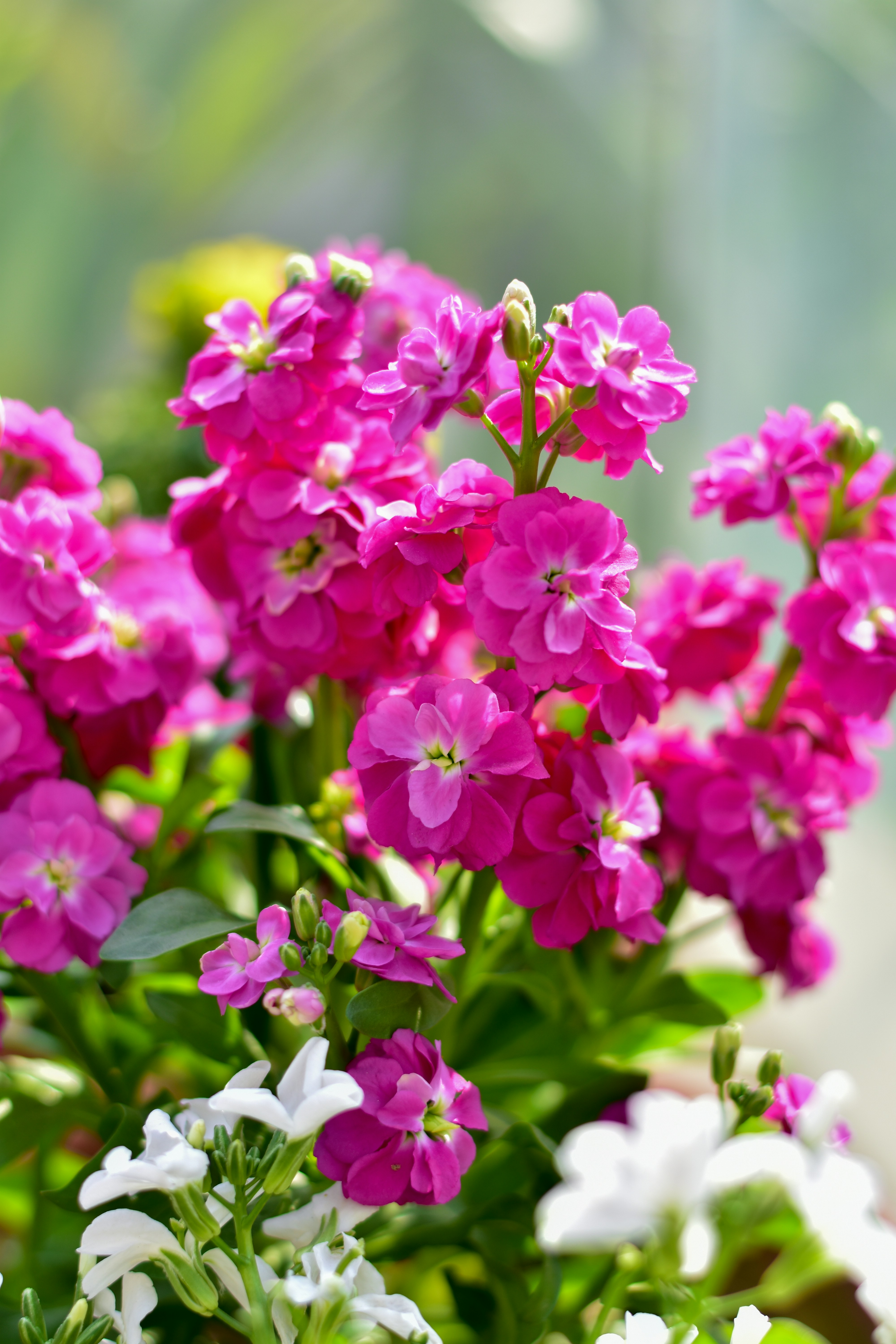 Photo by neelakshi_singh_